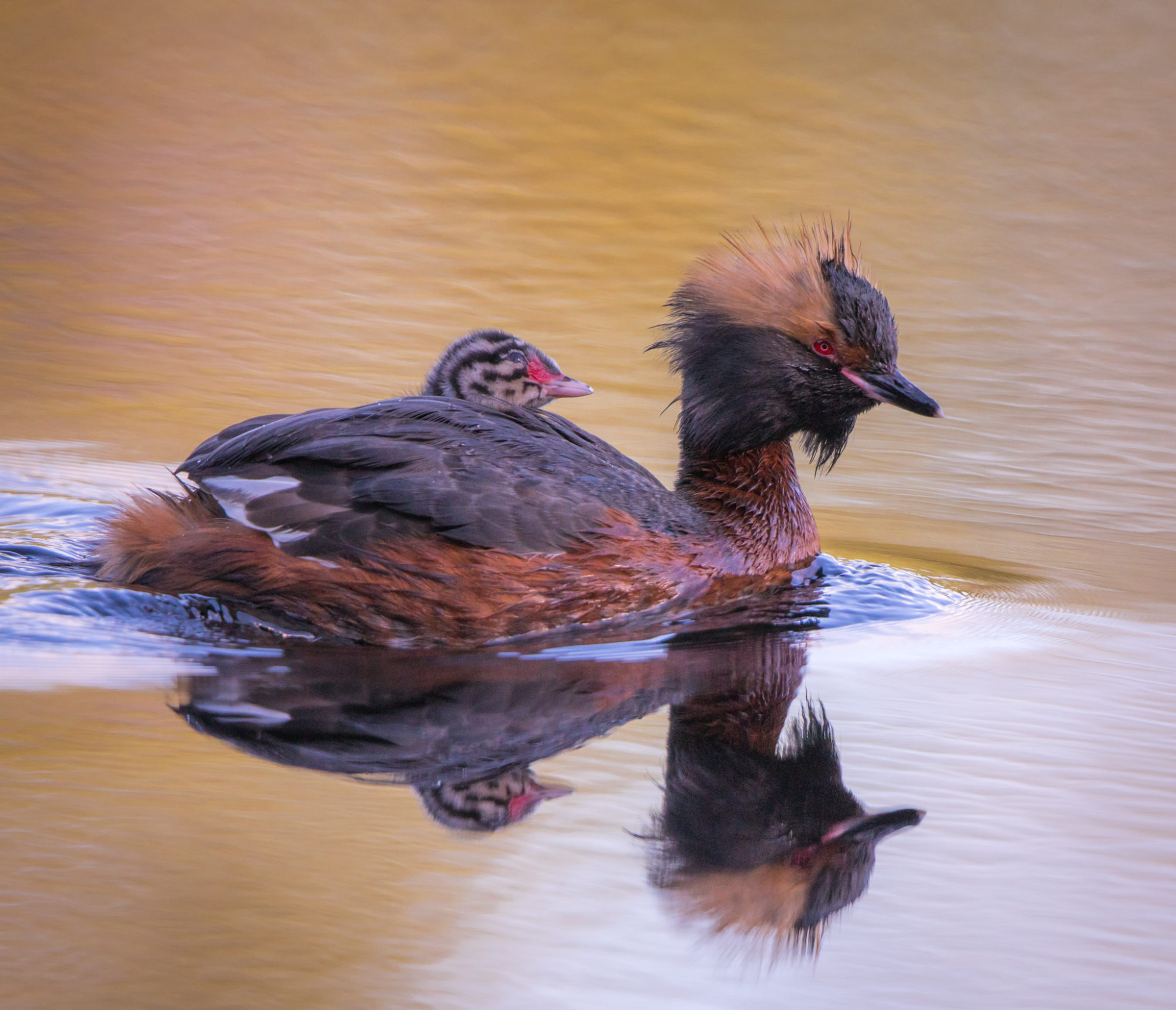 Valokuvaaja: Jukka Risikko