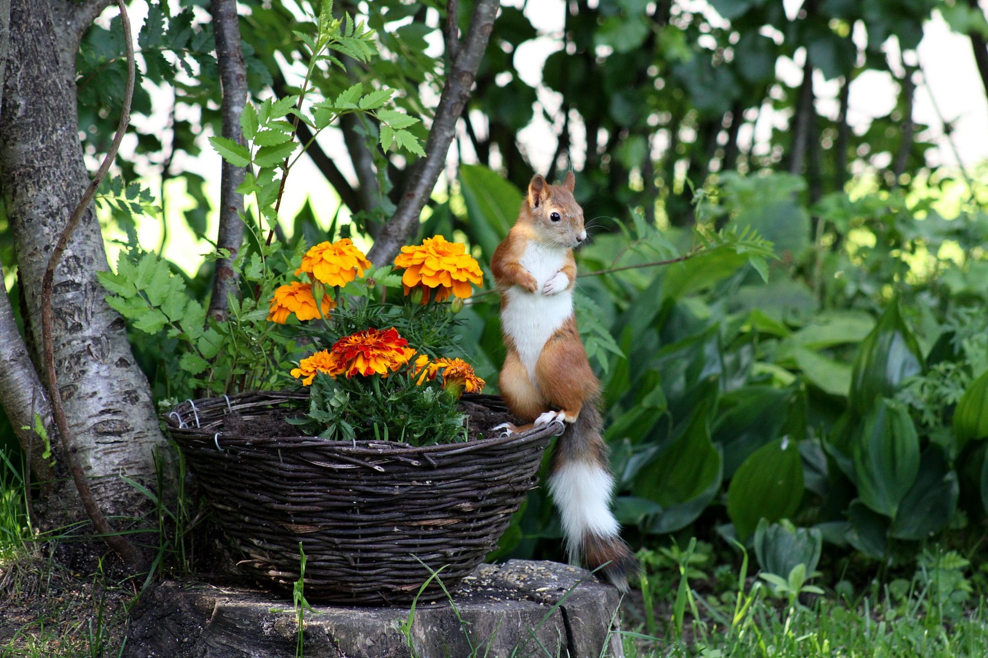 Valokuvaaja: Pirkko Siukonen Valokuvaaja: Pirkko Siukonen