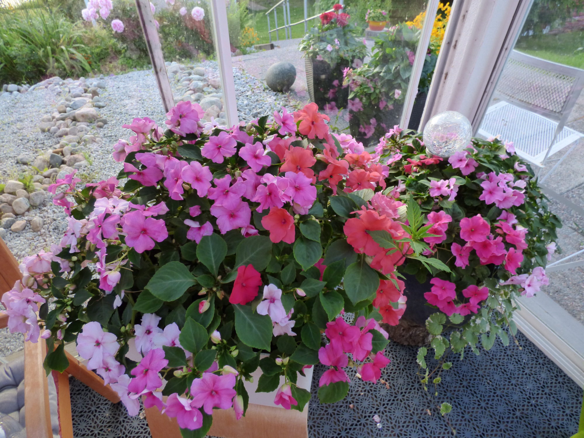 Valokuvaaja: Hannu Rissanen