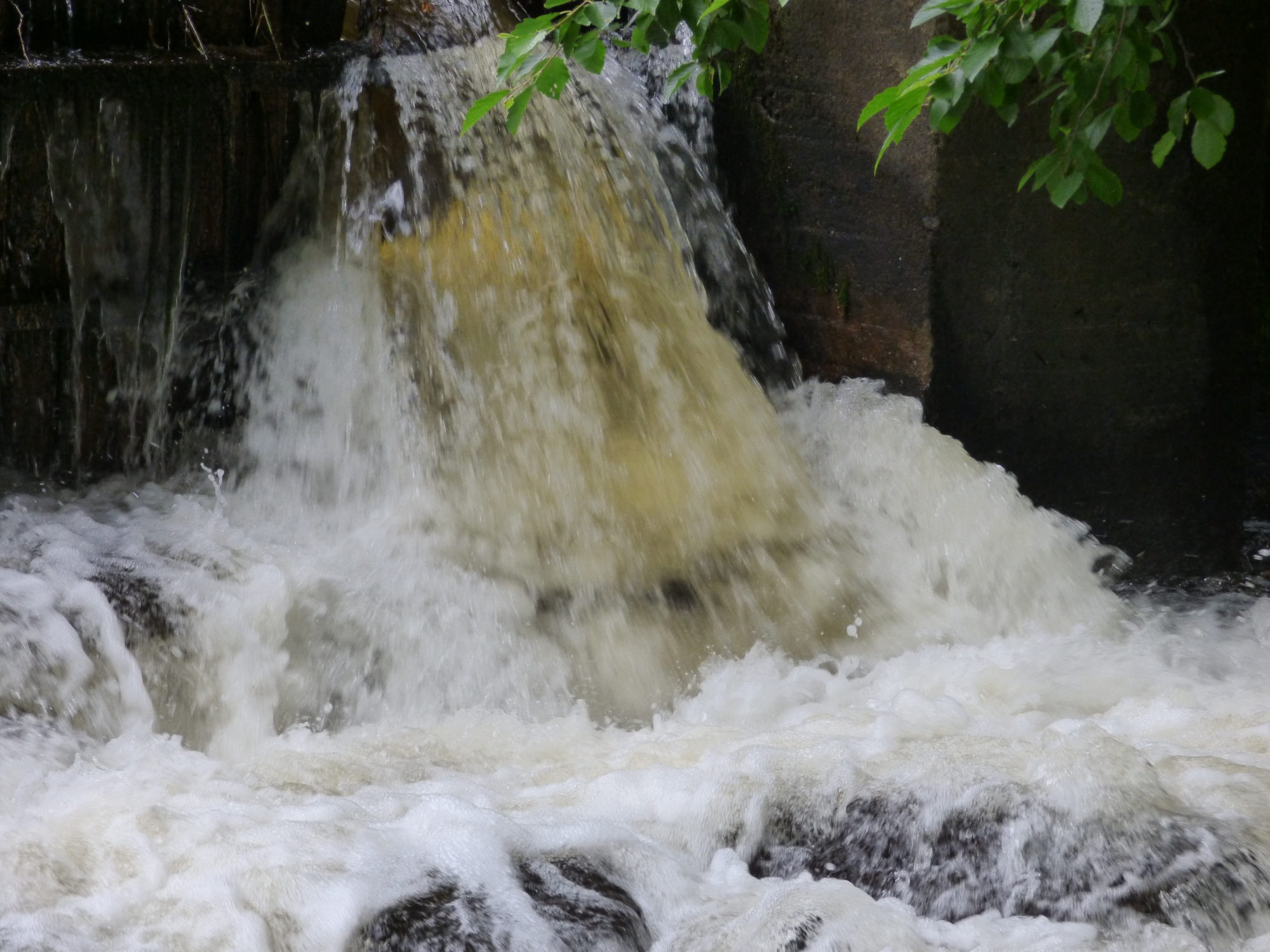 Valokuvaaja: Hannu Rissanen