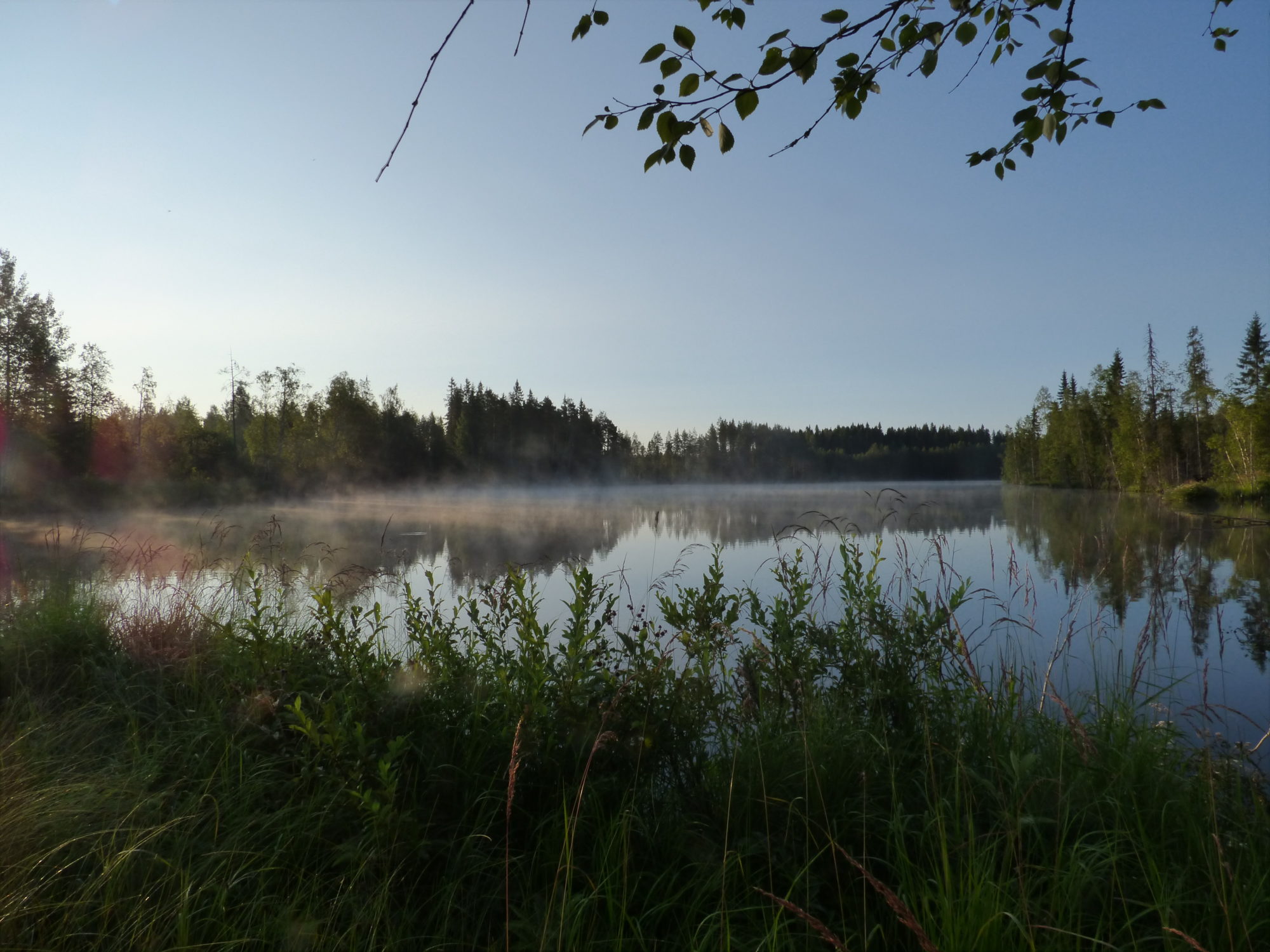 Valokuvaaja: hannu rissanen