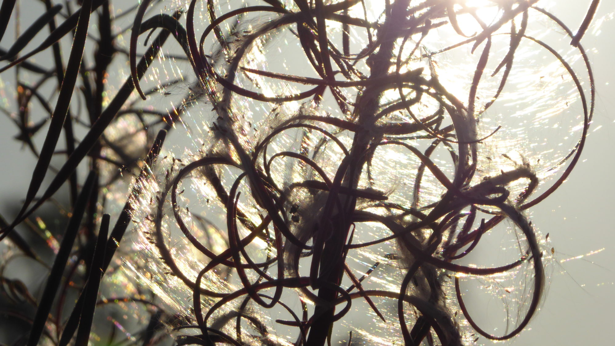 Valokuvaaja: Arja Valtonen