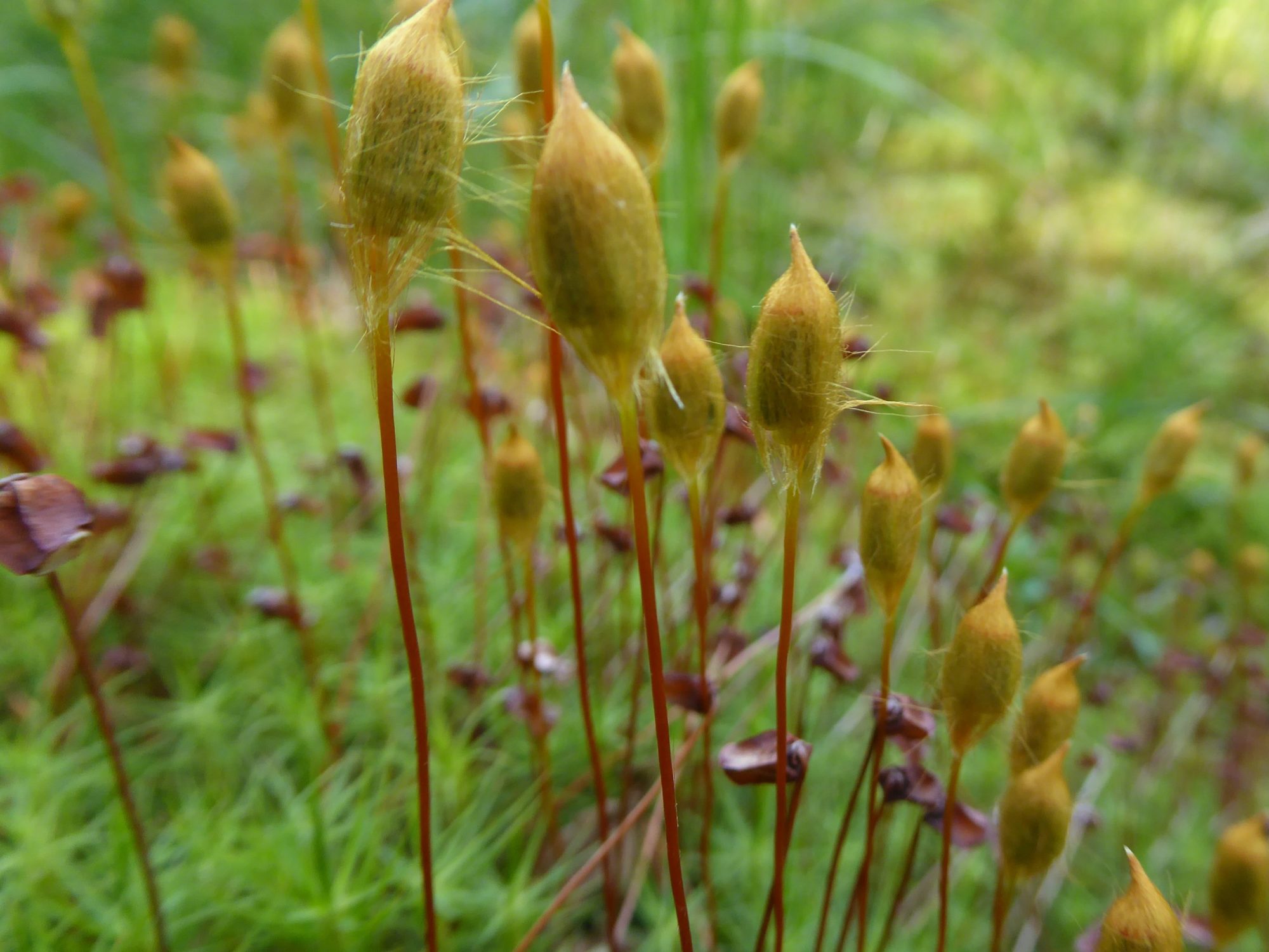 Valokuvaaja: Martti Valtonen