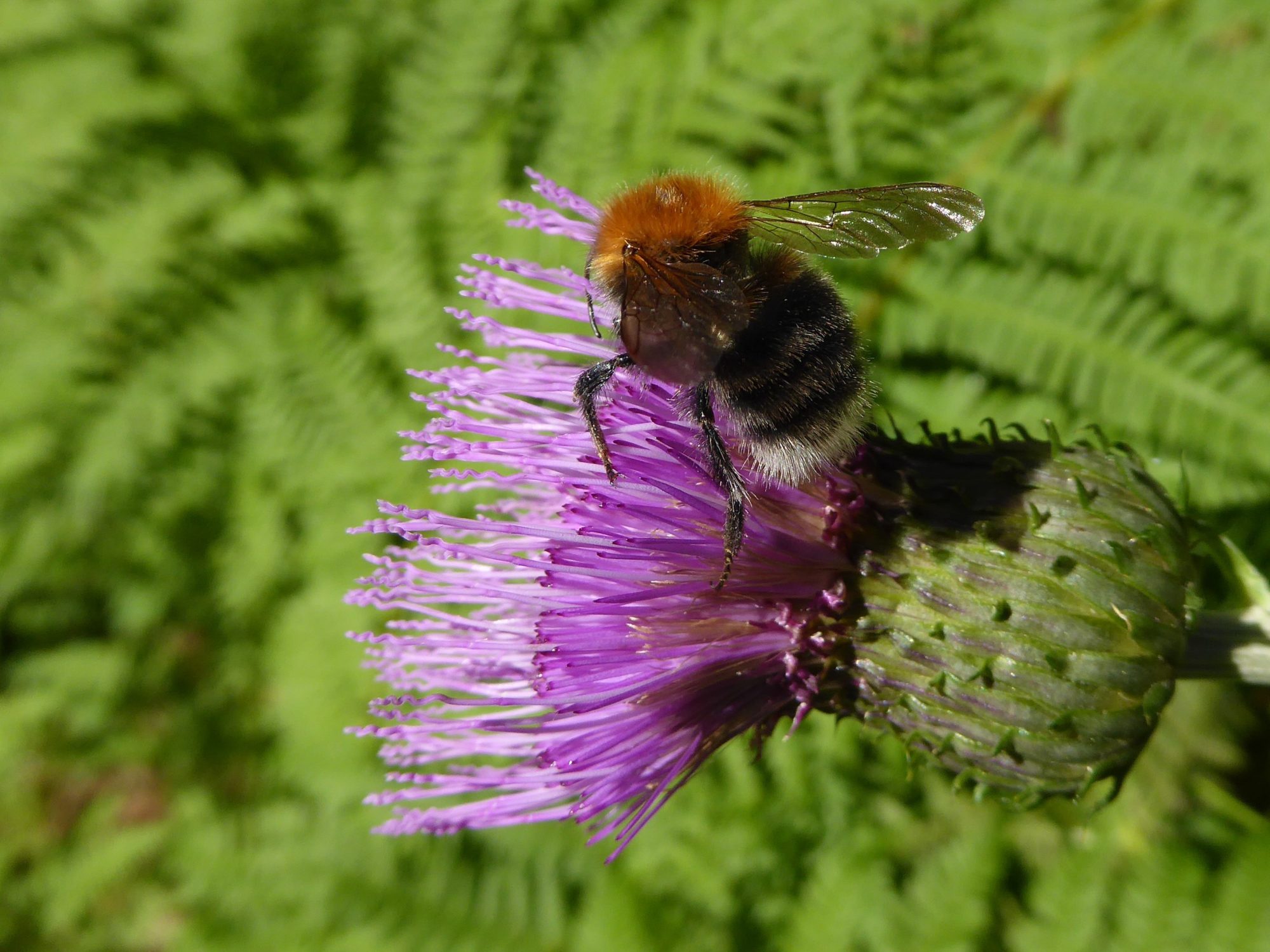 Valokuvaaja: Martti Valtonen