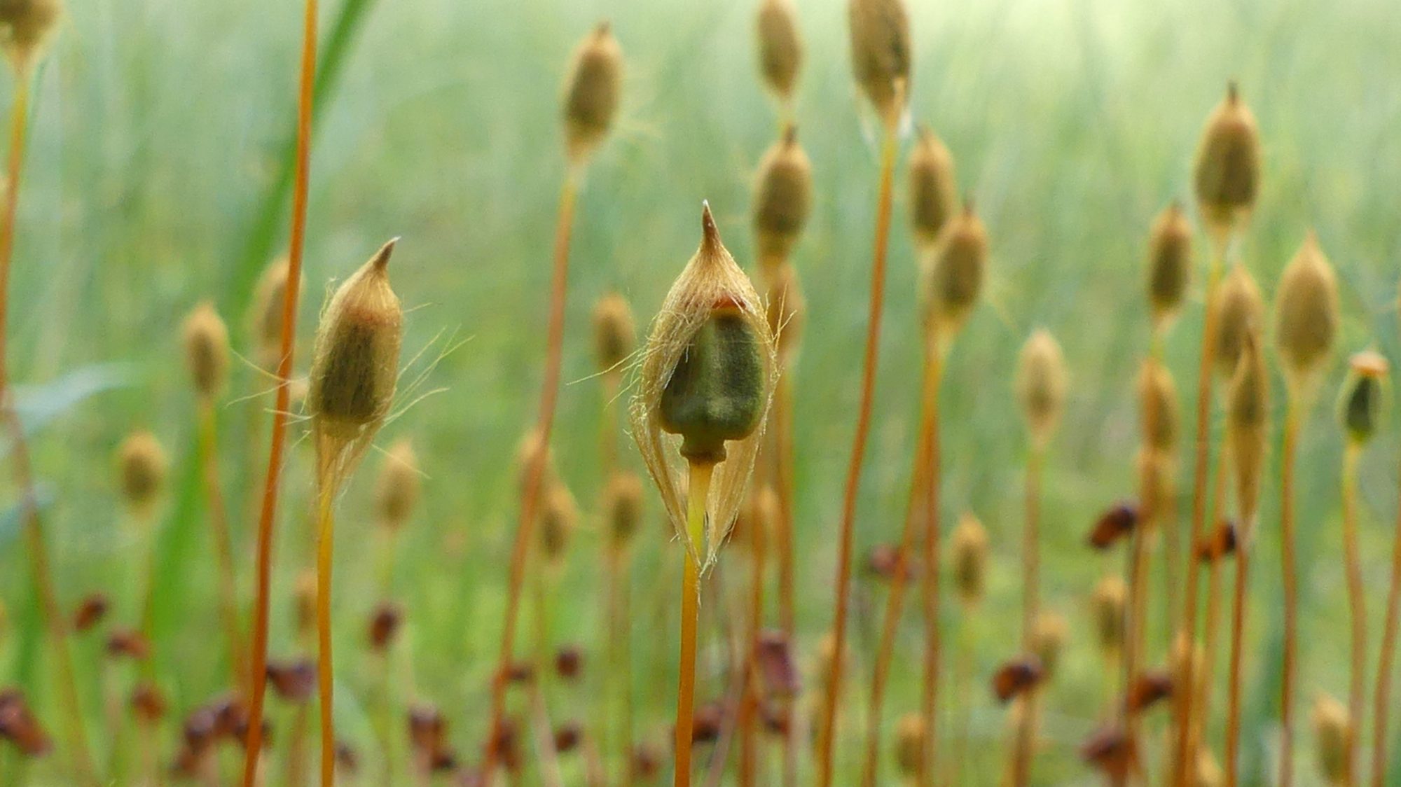 Valokuvaaja: Martti Valtonen