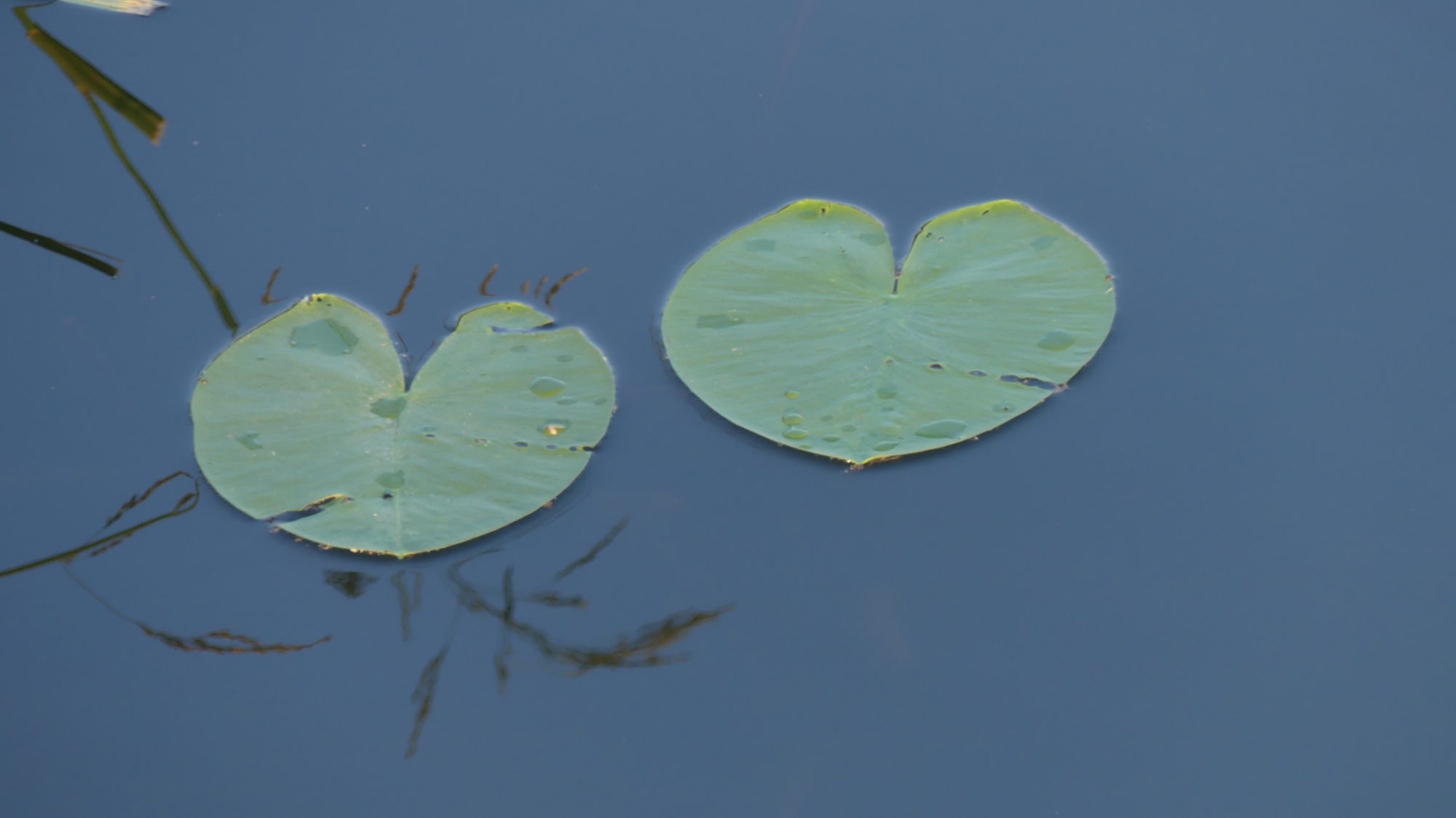 Valokuvaaja: Martti Valtonen