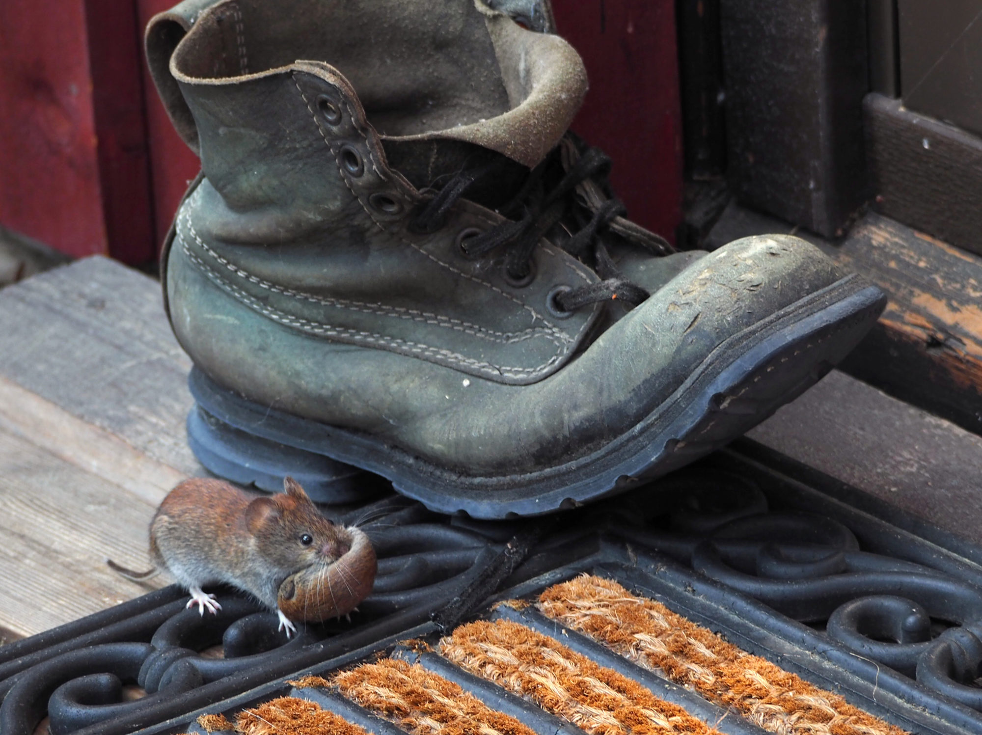 Valokuvaaja: Aki Jalava