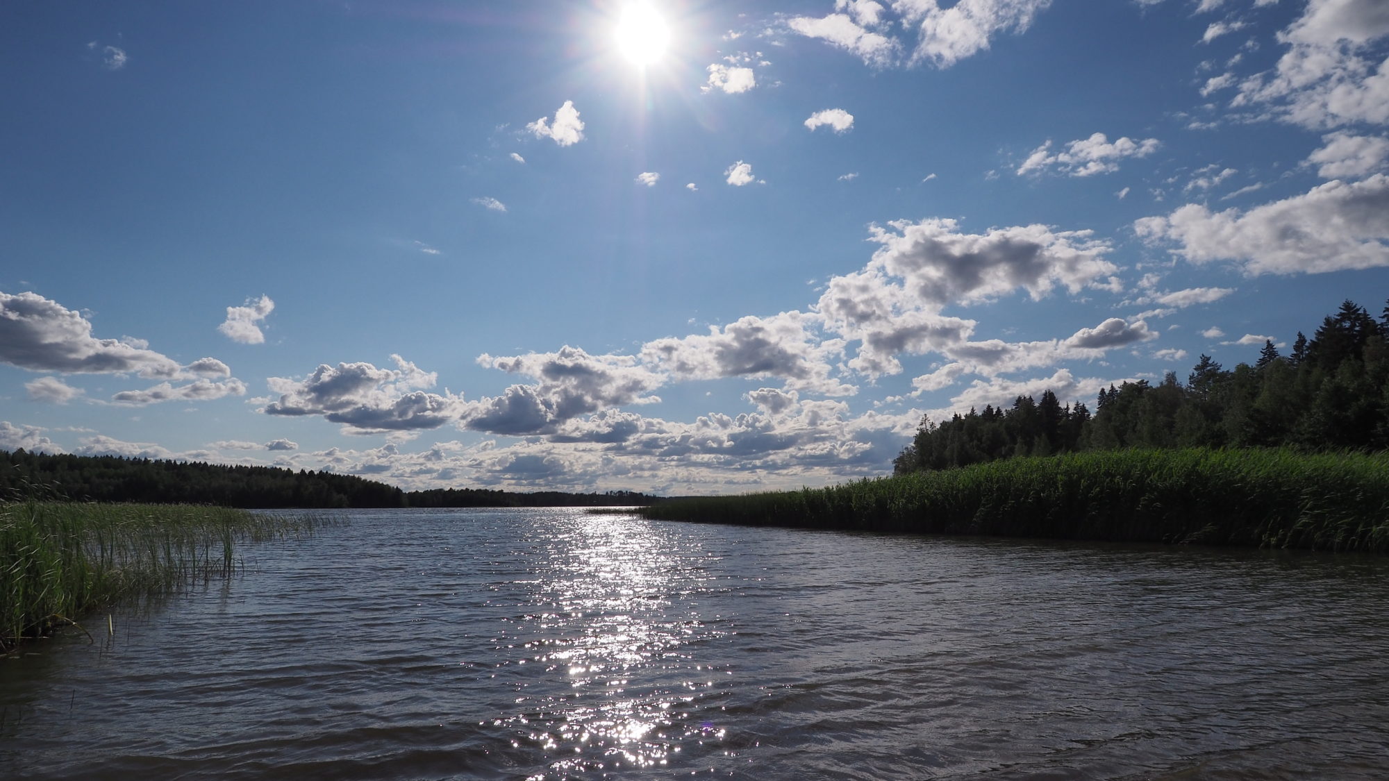 Valokuvaaja: Arja Valtonen Valokuvaaja: Arja Valtonen