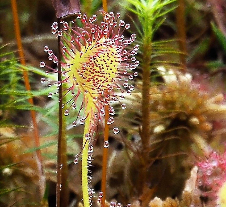 Valokuvaaja: Arja Valtonen