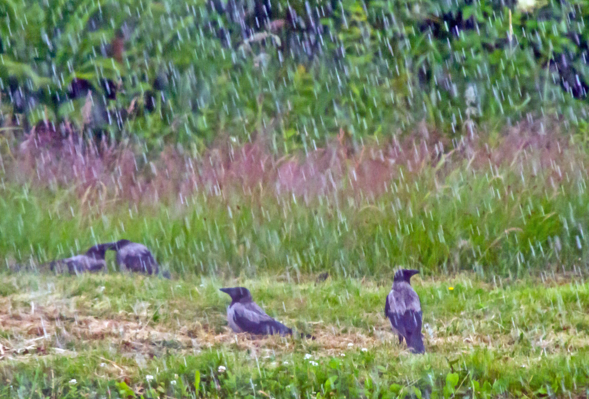 Valokuvaaja: Heikki  Heinonen Valokuvaaja: Heikki  Heinonen