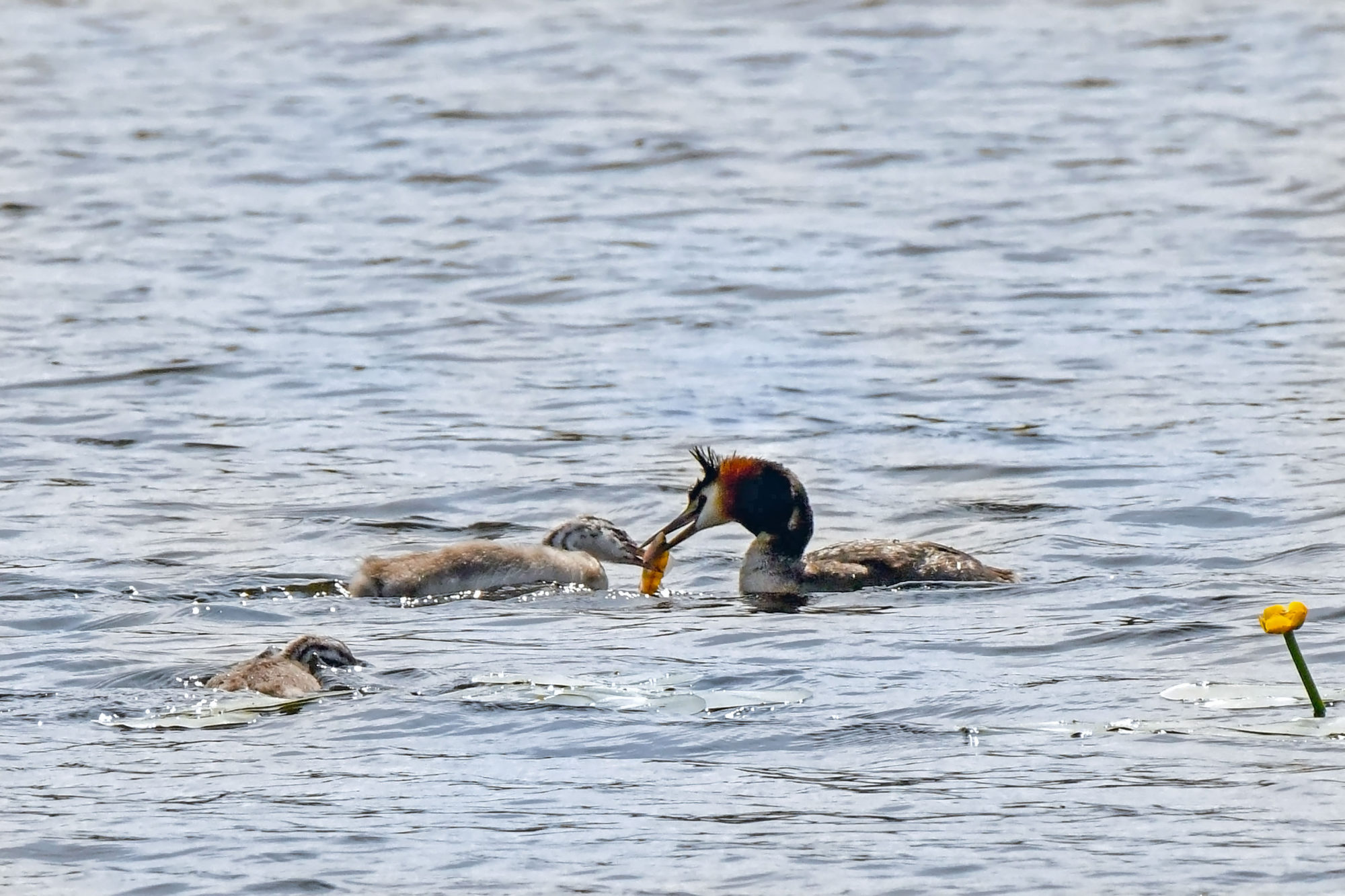 Valokuvaaja: Esko Pihl