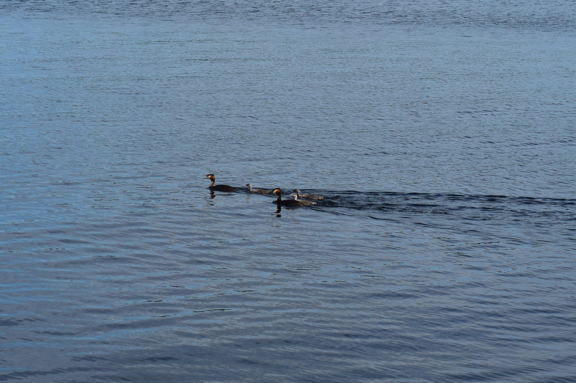 Valokuvaaja: Eila Ylönen