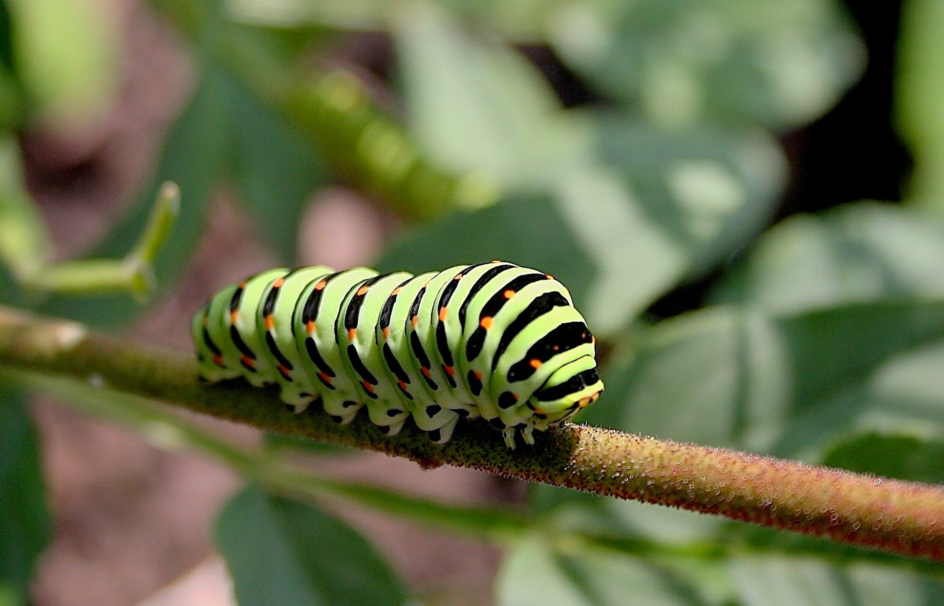 Valokuvaaja: sirpa jyske