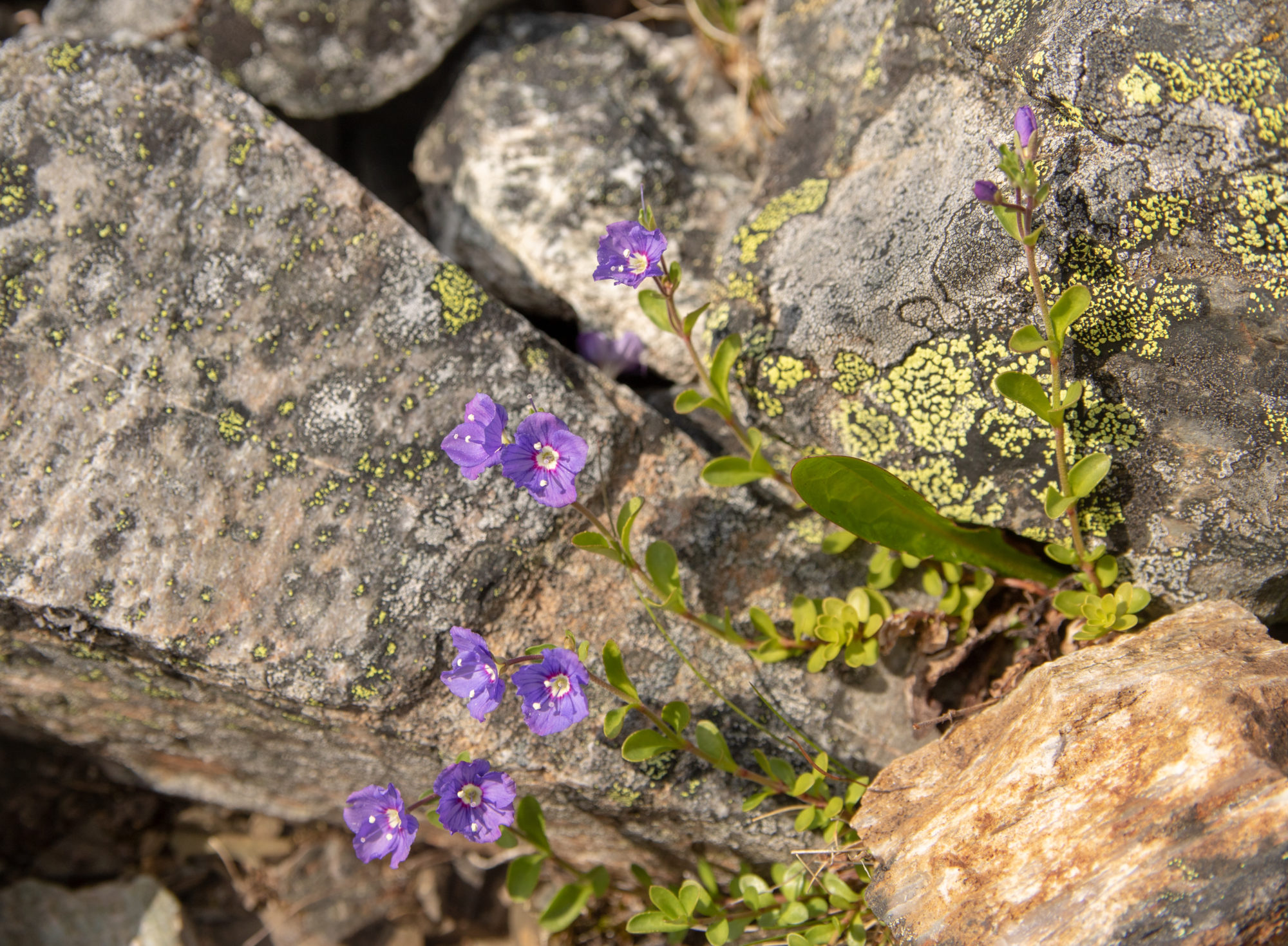 Valokuvaaja: Katri Niskanen