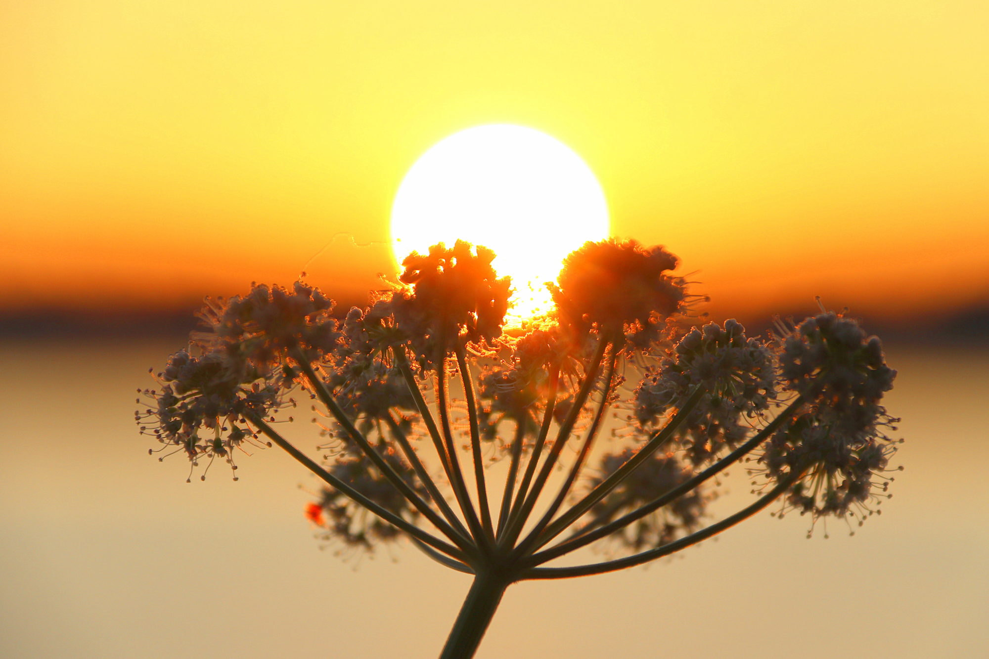 Valokuvaaja: sirpa jyske