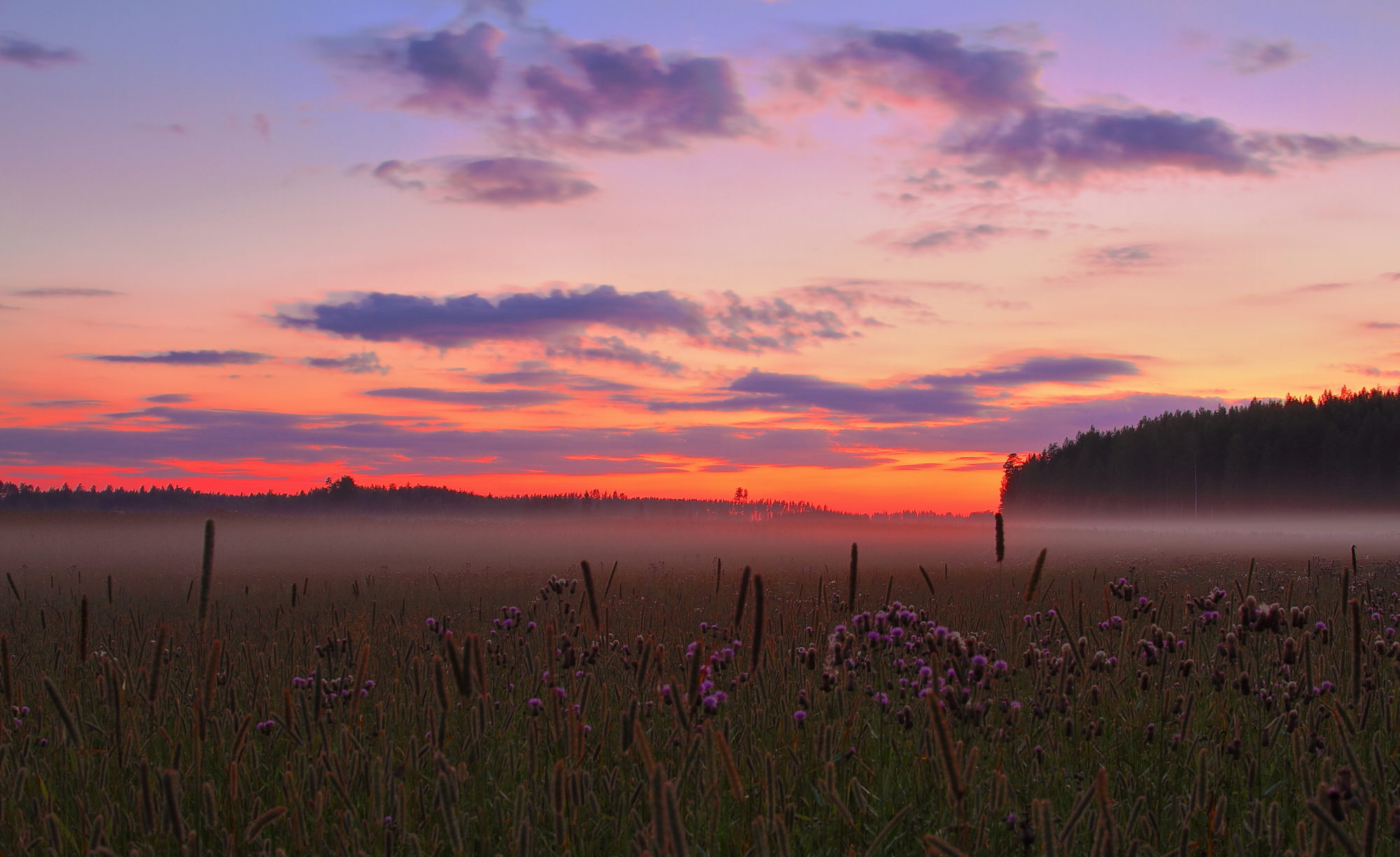 Valokuvaaja: Lasse Kokko