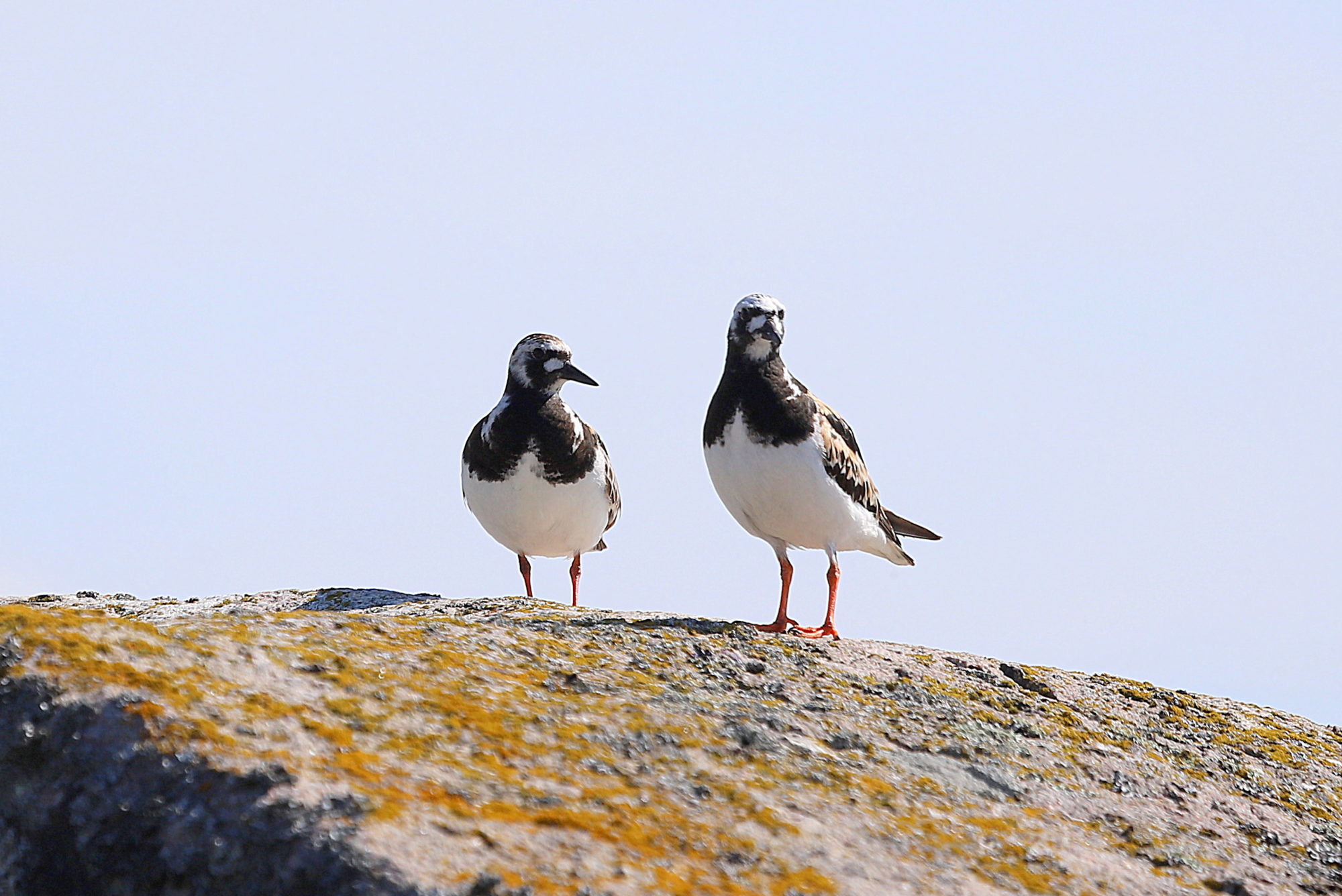 Valokuvaaja: sirpa jyske