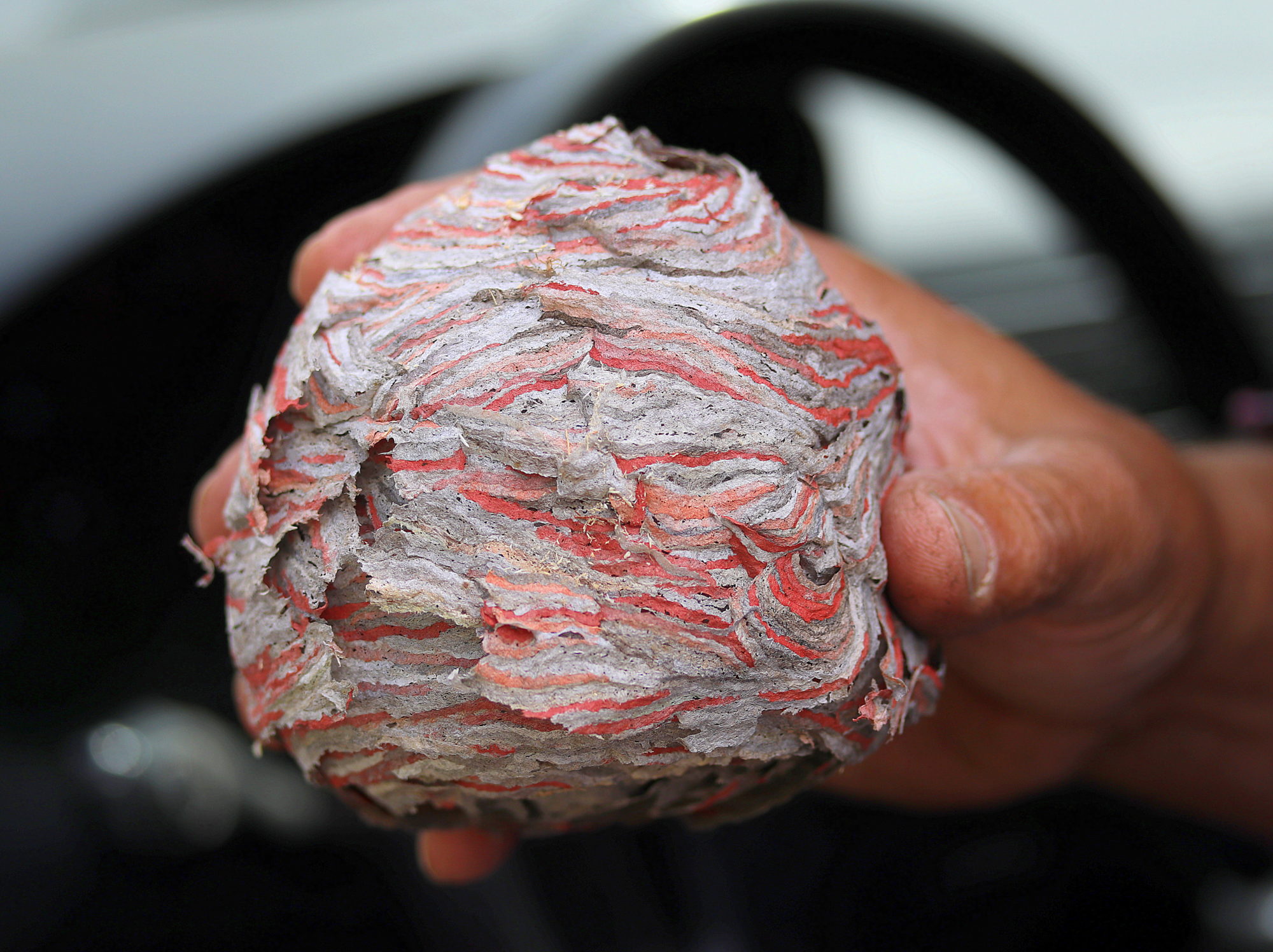 Valokuvaaja: sirpa jyske