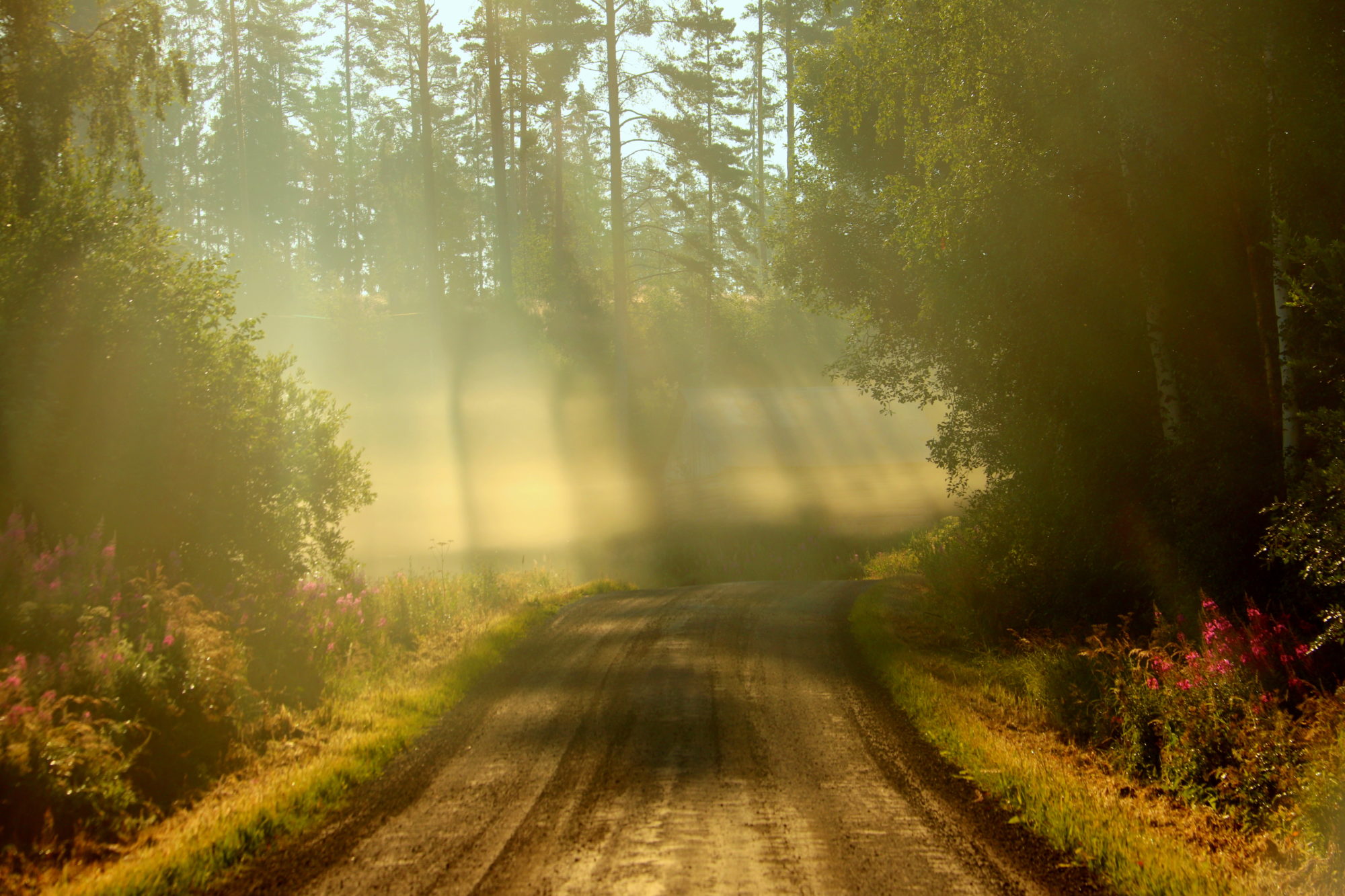 Valokuvaaja: sirpa jyske