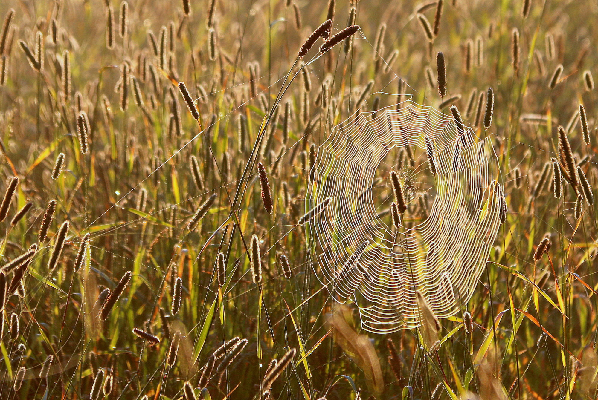 Valokuvaaja: sirpa jyske Valokuvaaja: sirpa jyske