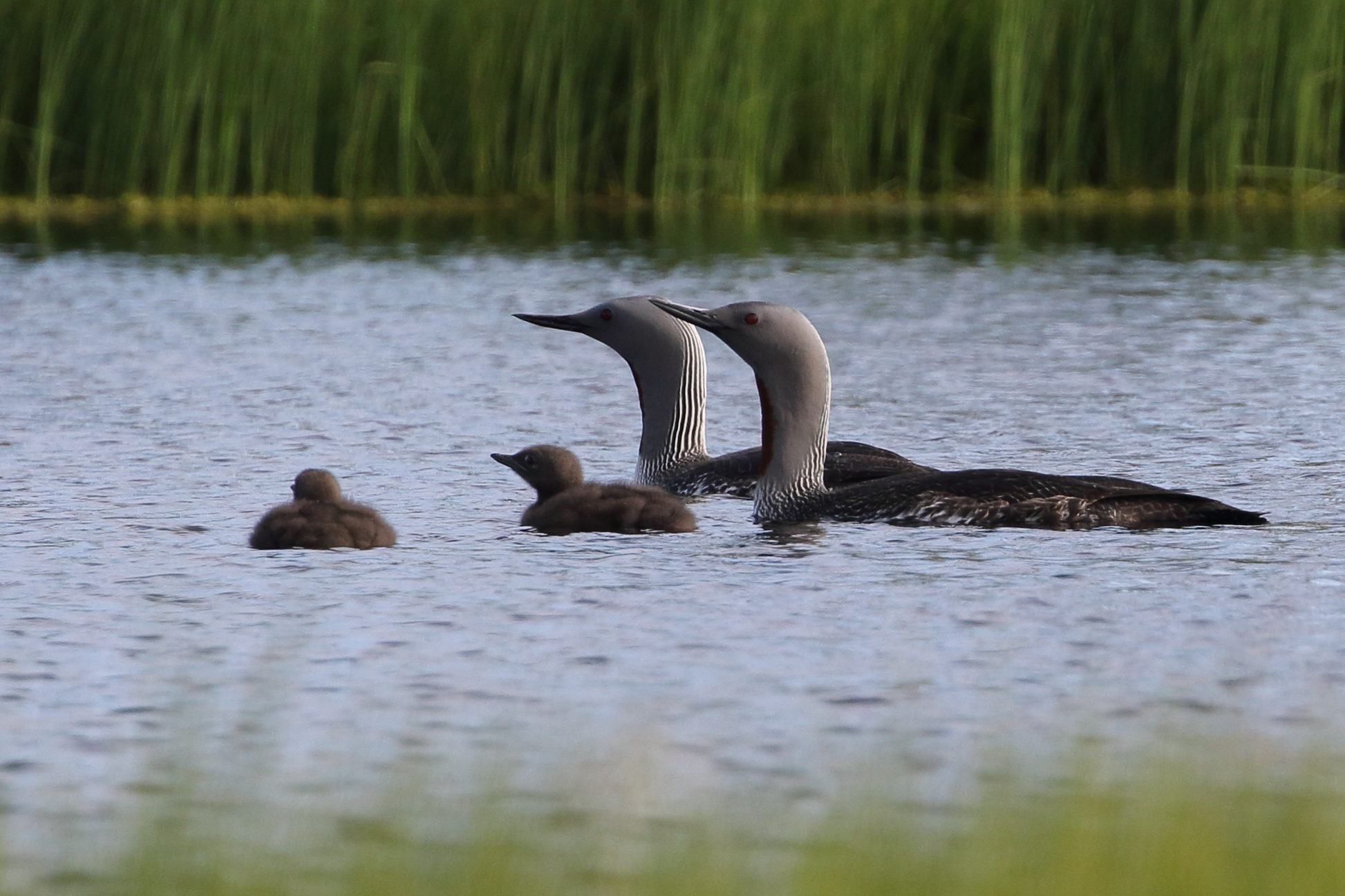 Valokuvaaja: Jukka Ylätalo