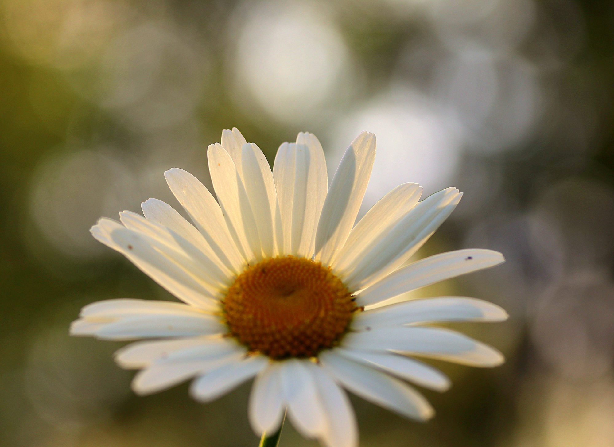Valokuvaaja: sirpa jyske