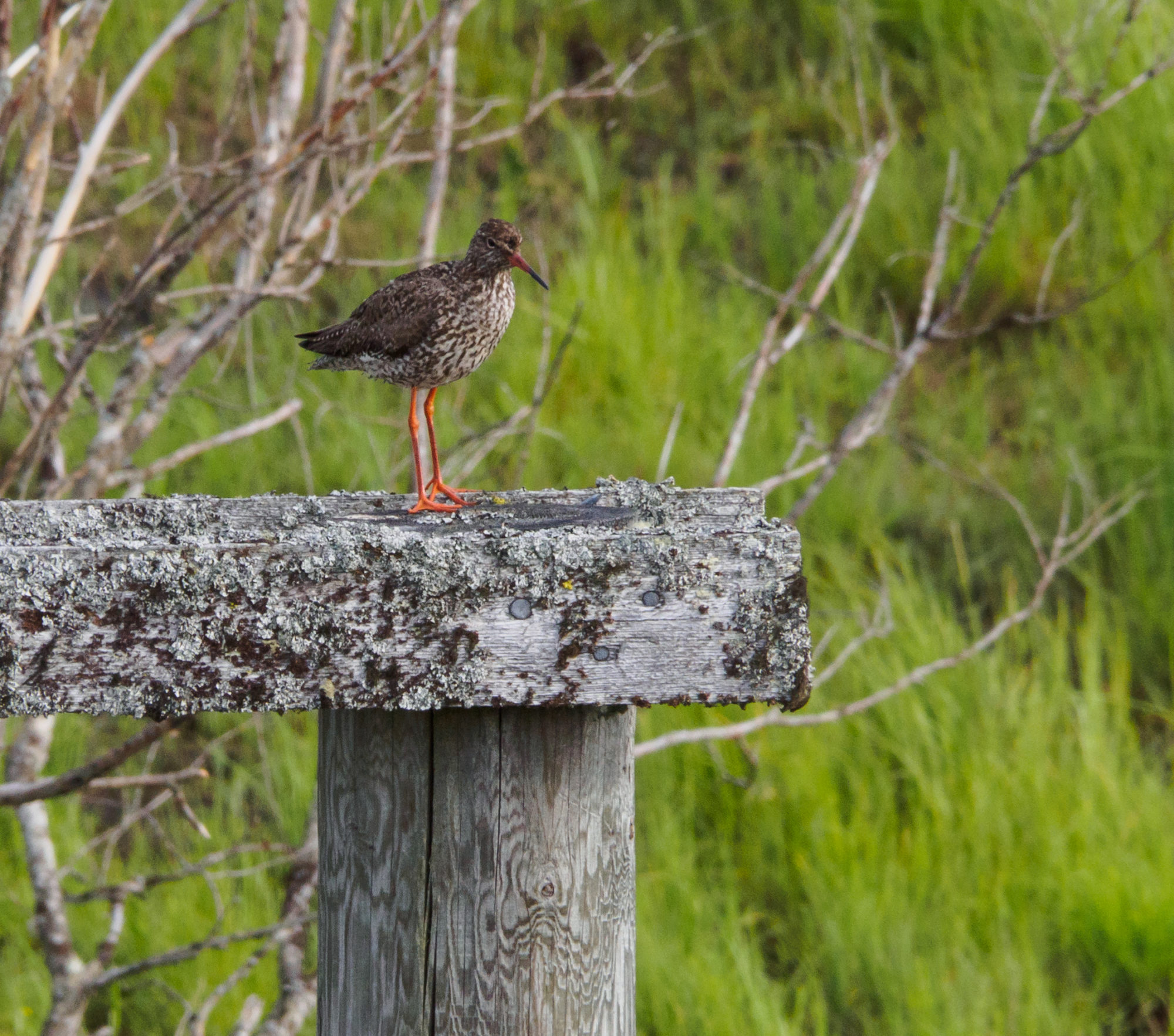 Valokuvaaja: Sirkka Karppinen
