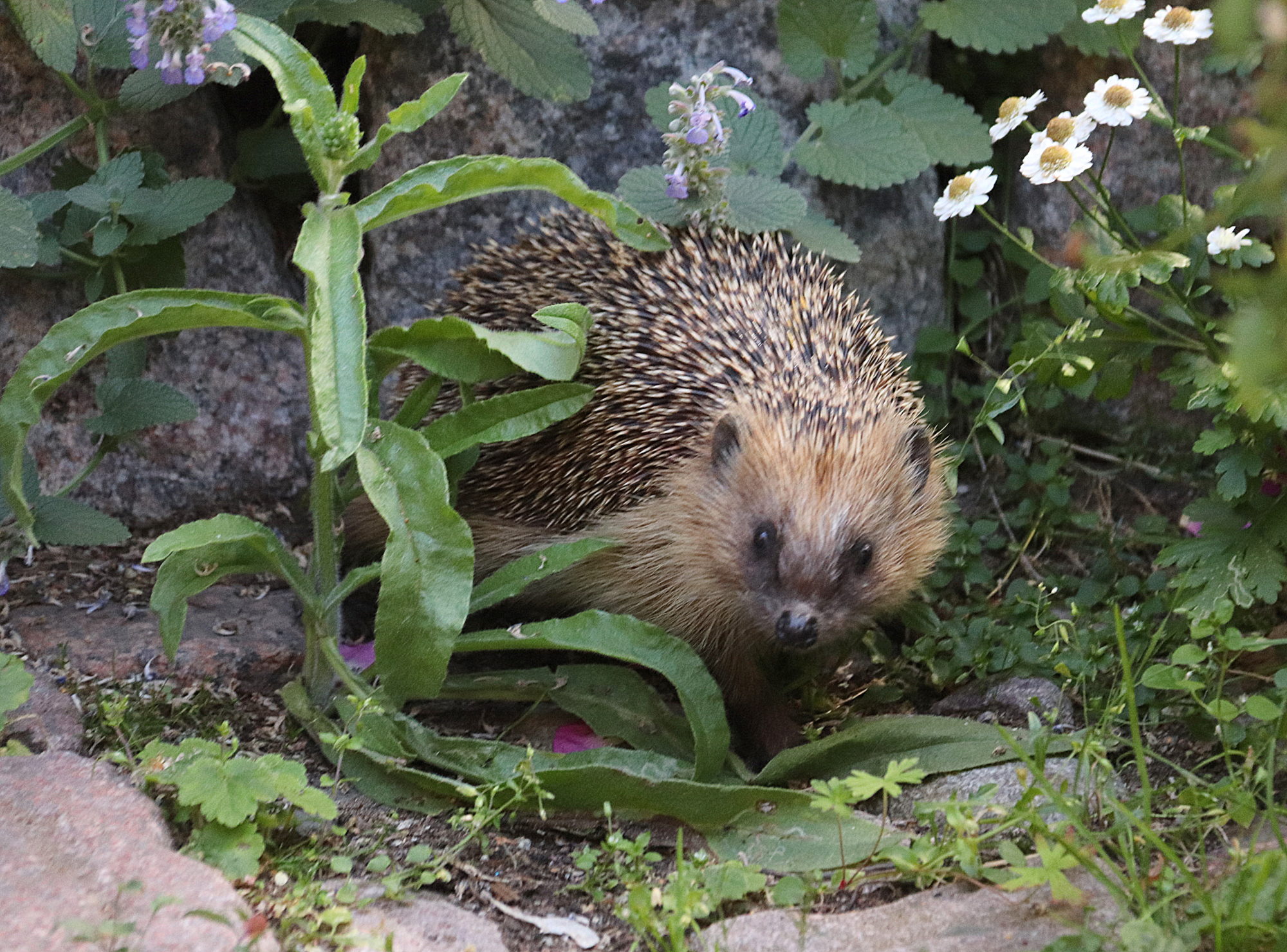 Valokuvaaja: sirpa jyske