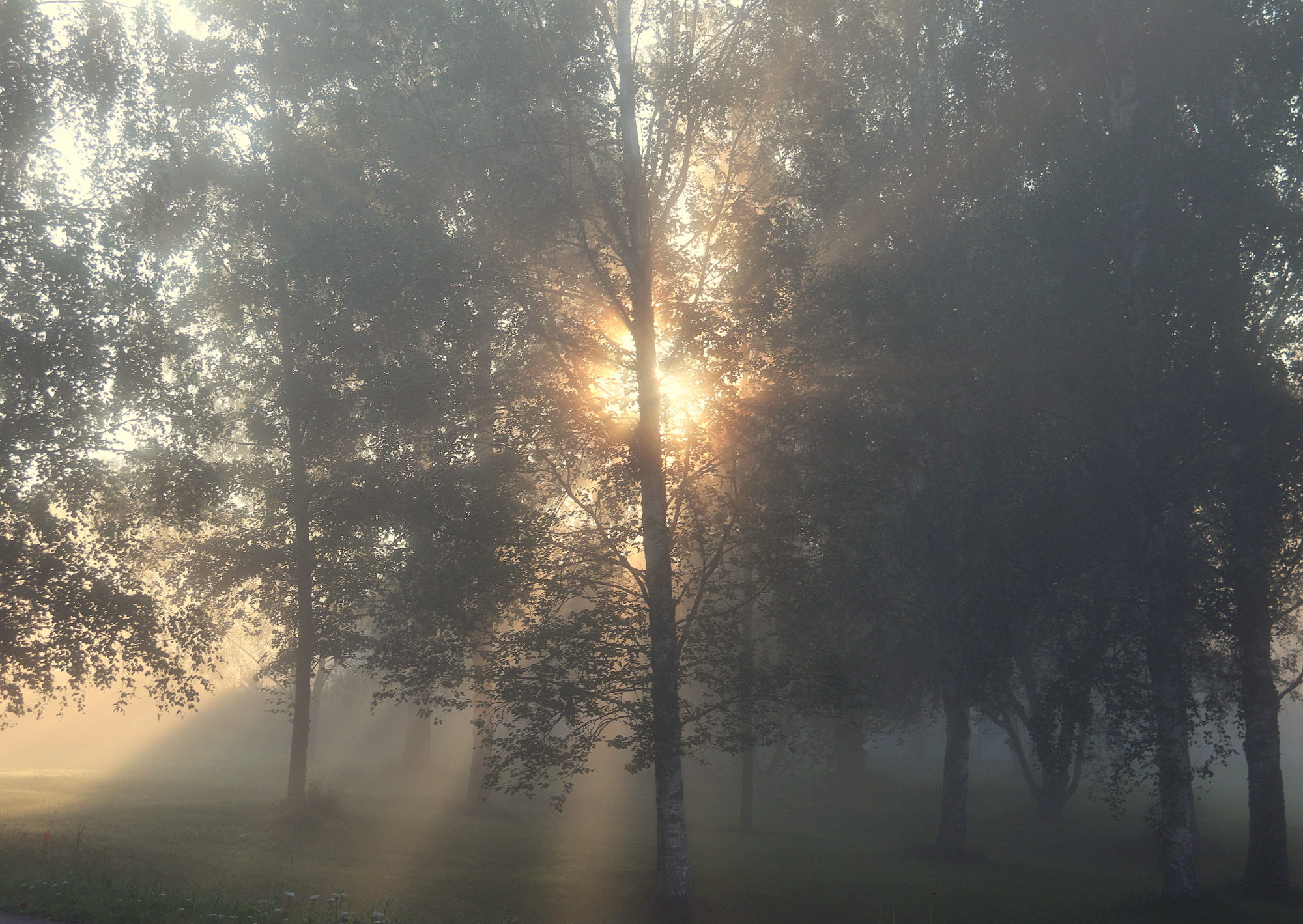 Valokuvaaja: sirpa jyske