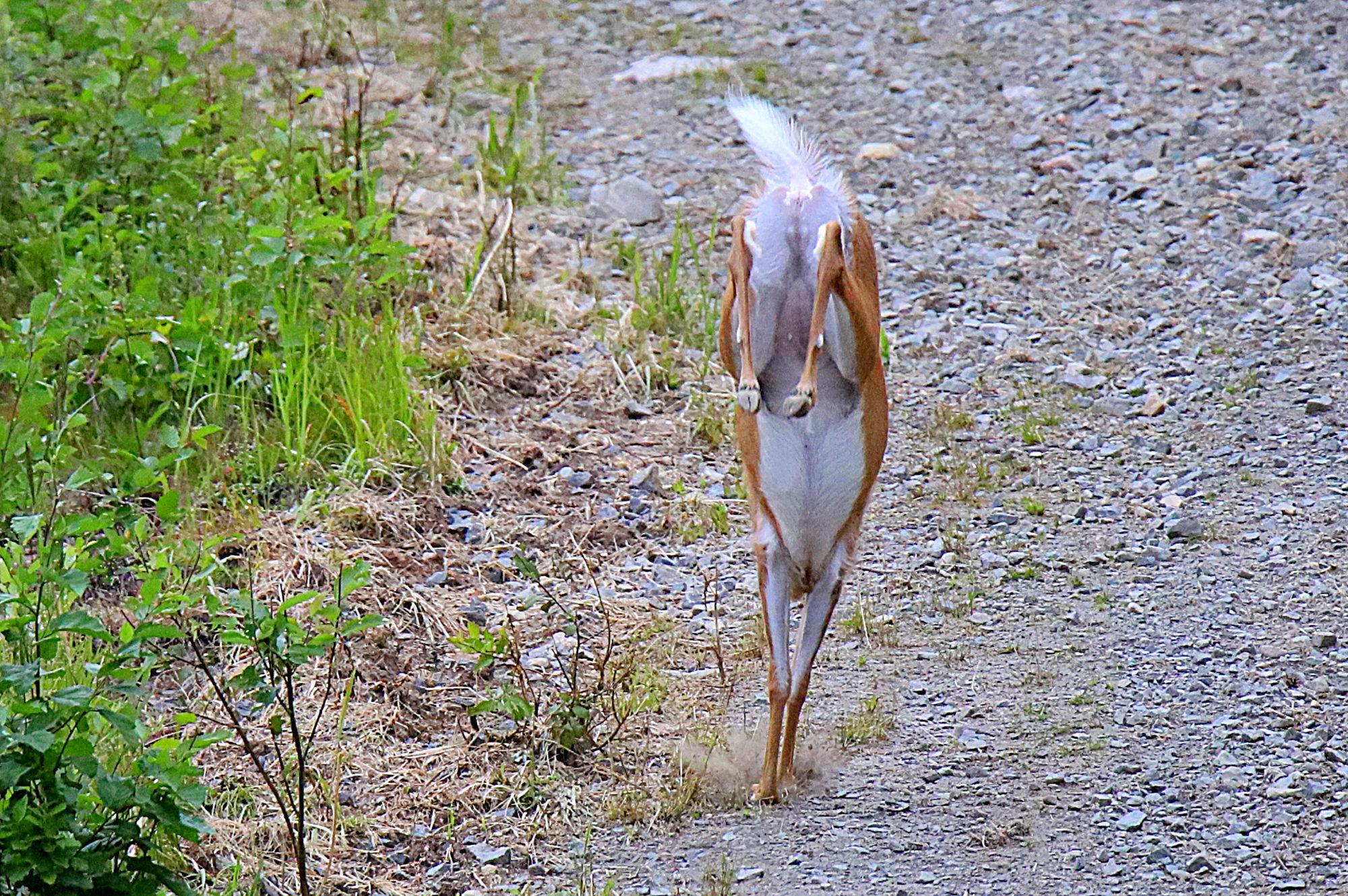 Valokuvaaja: sirpa jyske Valokuvaaja: sirpa jyske