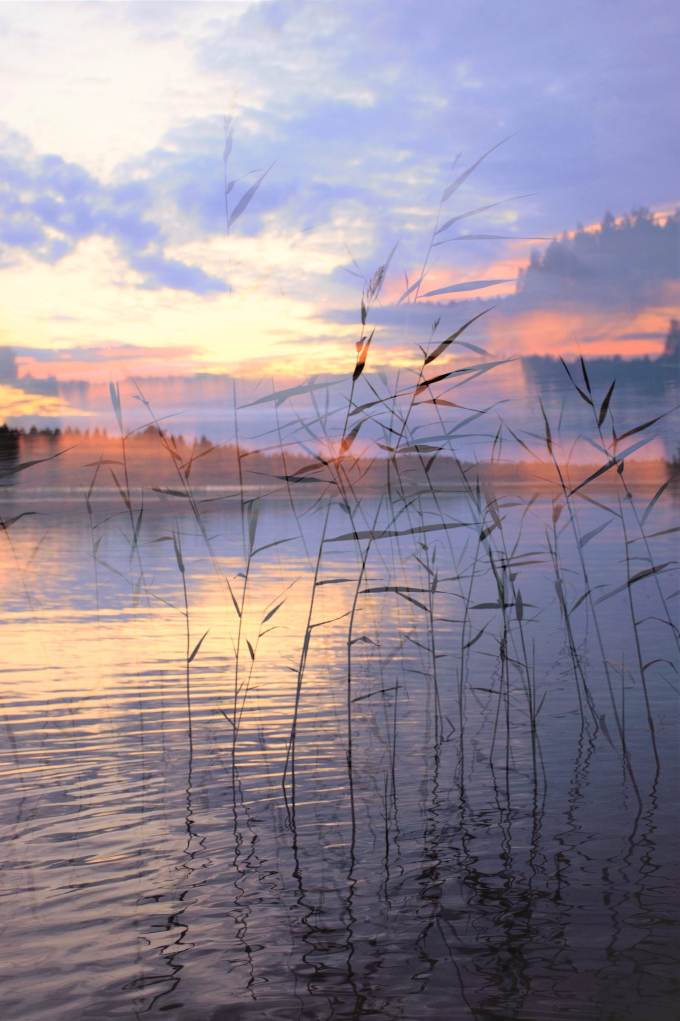 Valokuvaaja: Leena Rissanen