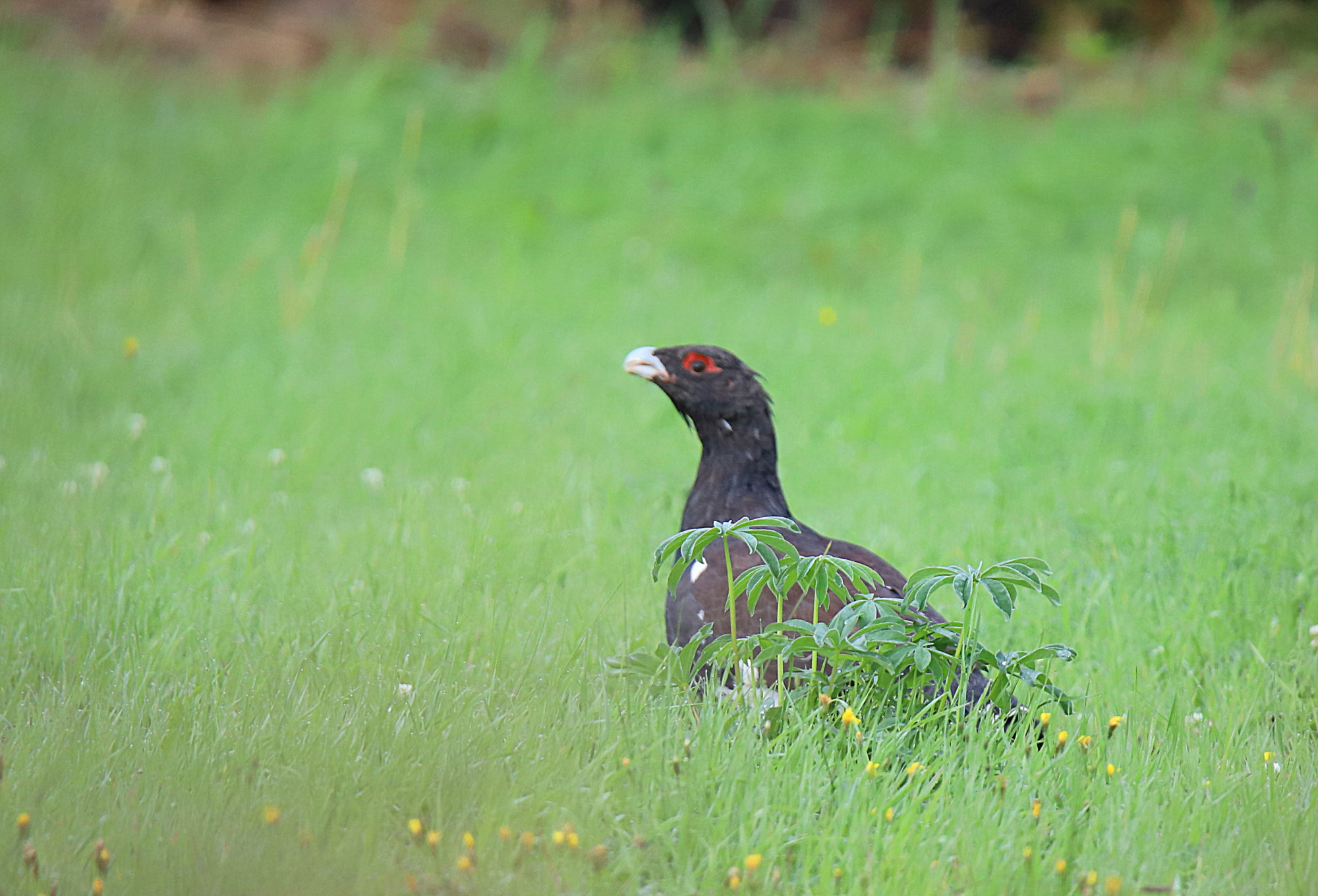 Valokuvaaja: sirpa jyske
