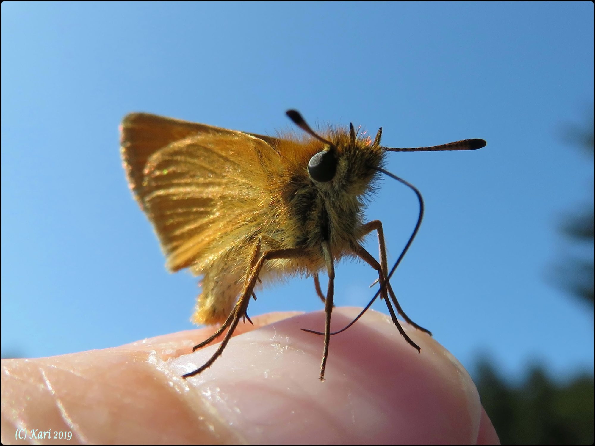 Valokuvaaja: Kari Saarinen