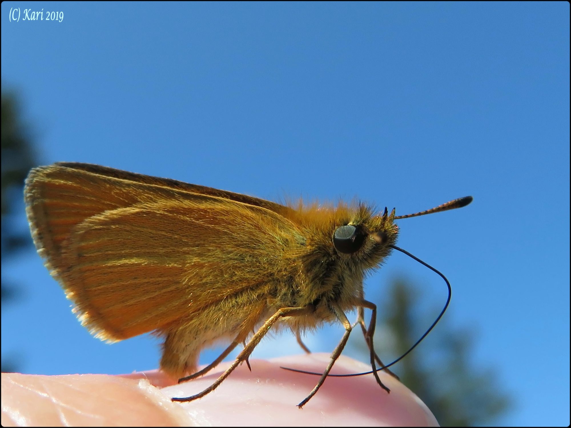 Valokuvaaja: Kari Saarinen Valokuvaaja: Kari Saarinen