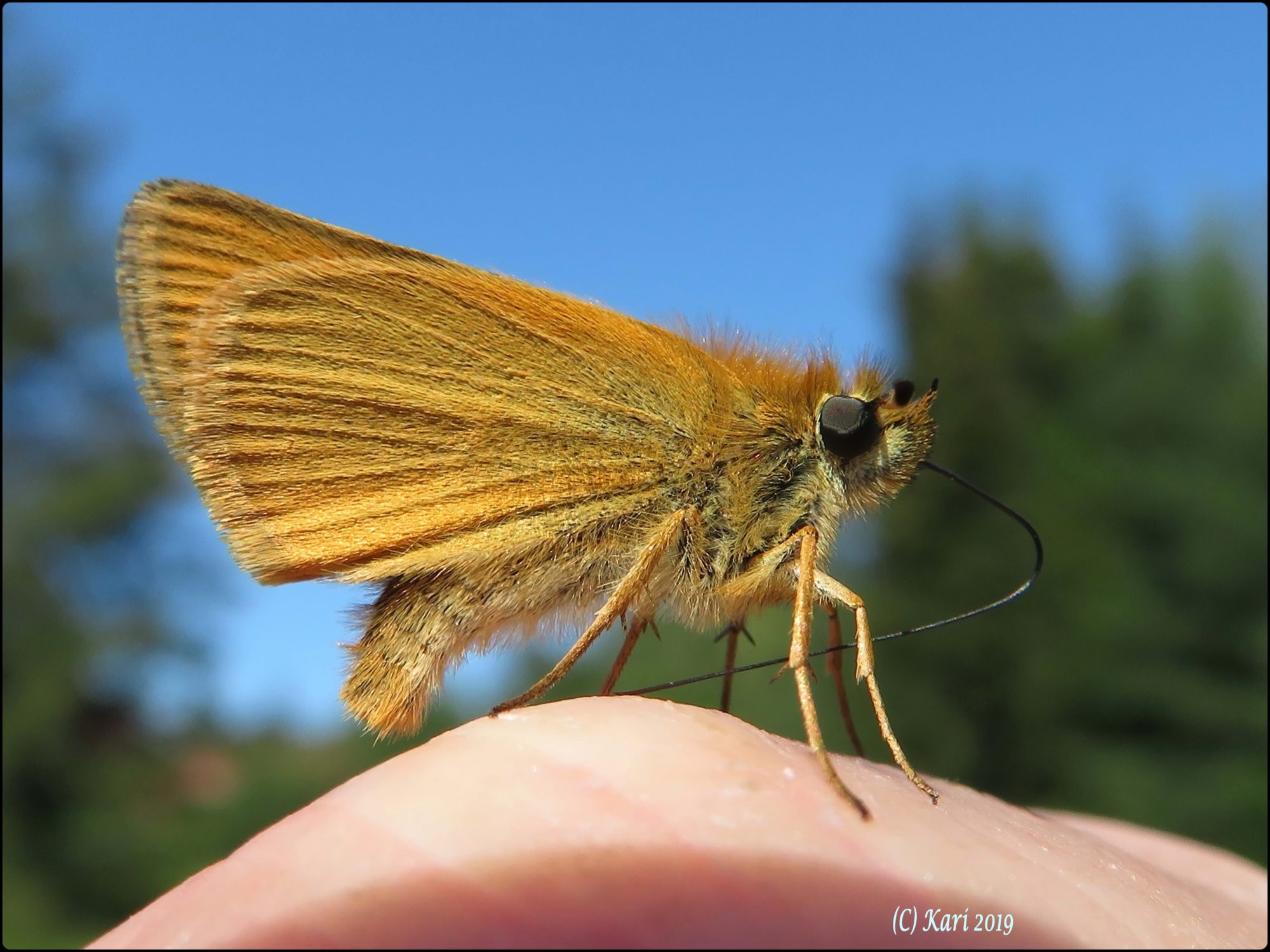 Valokuvaaja: Kari Saarinen