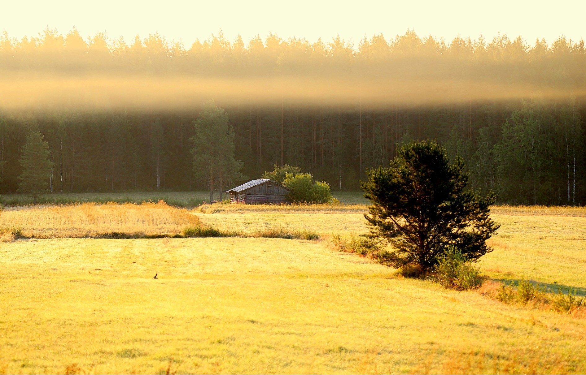 Valokuvaaja: sirpa jyske