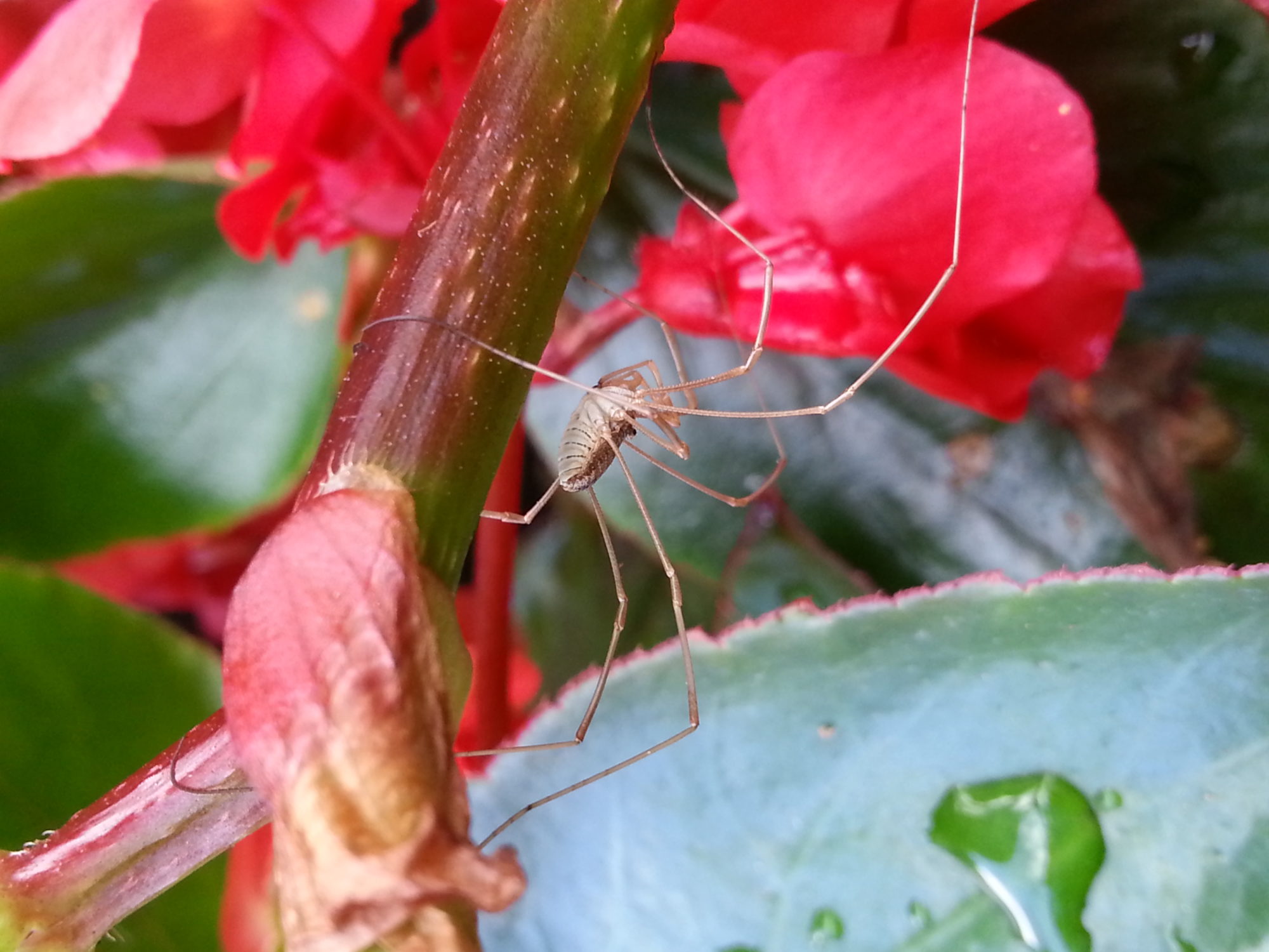 Valokuvaaja: Miisa Lopperi Valokuvaaja: Miisa Lopperi