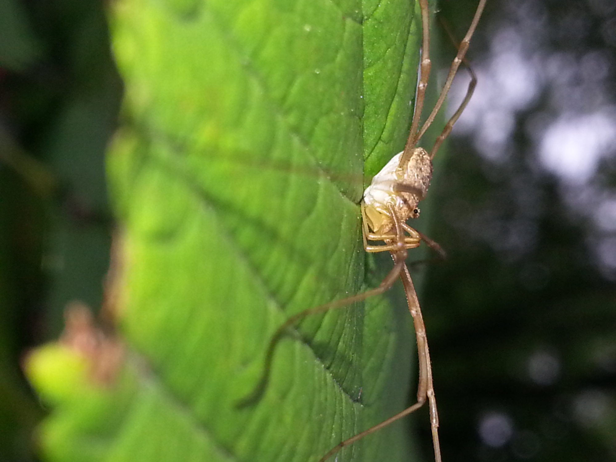 Valokuvaaja: Miisa Lopperi