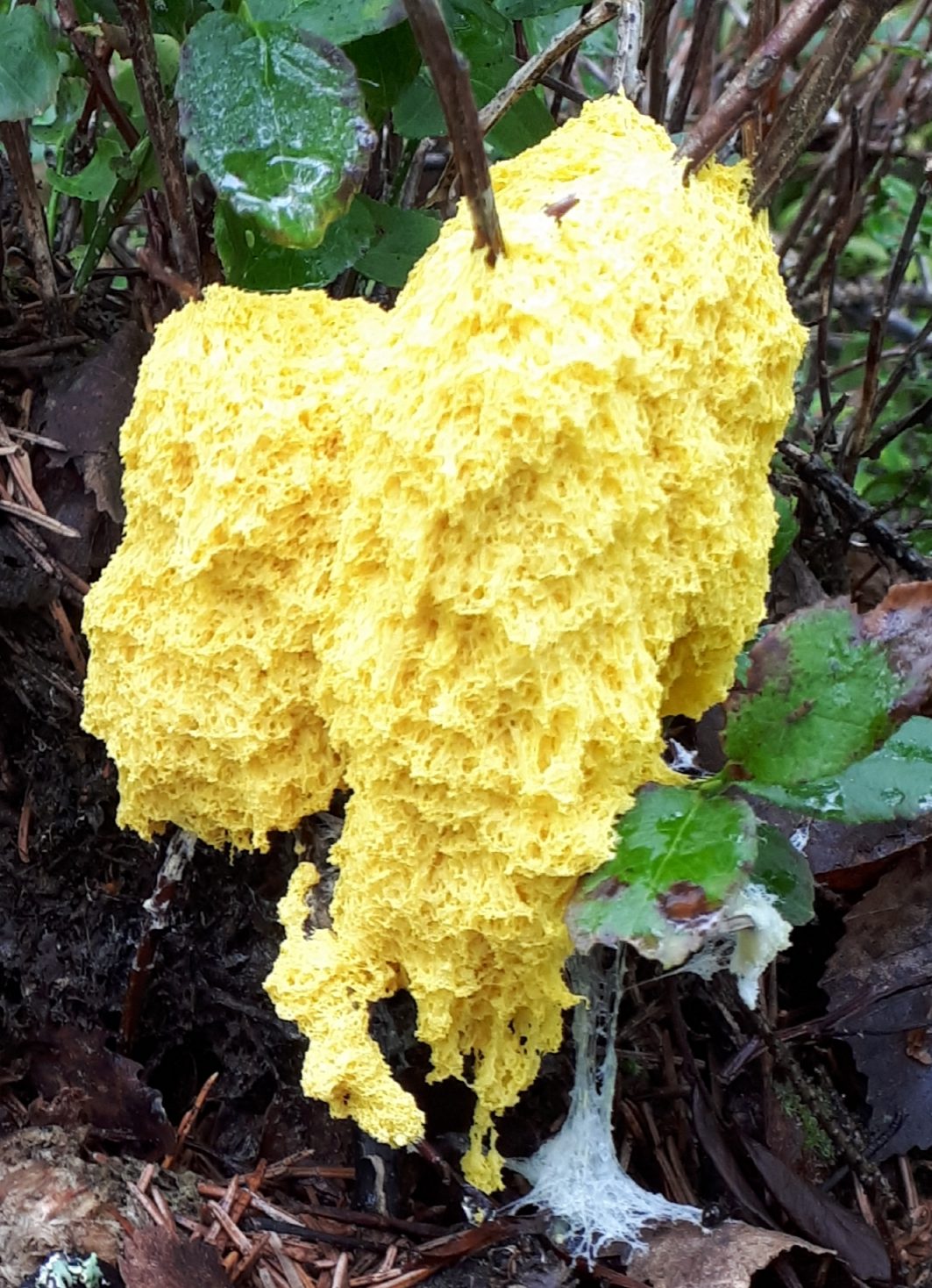 Valokuvaaja: Terhi Honkanen