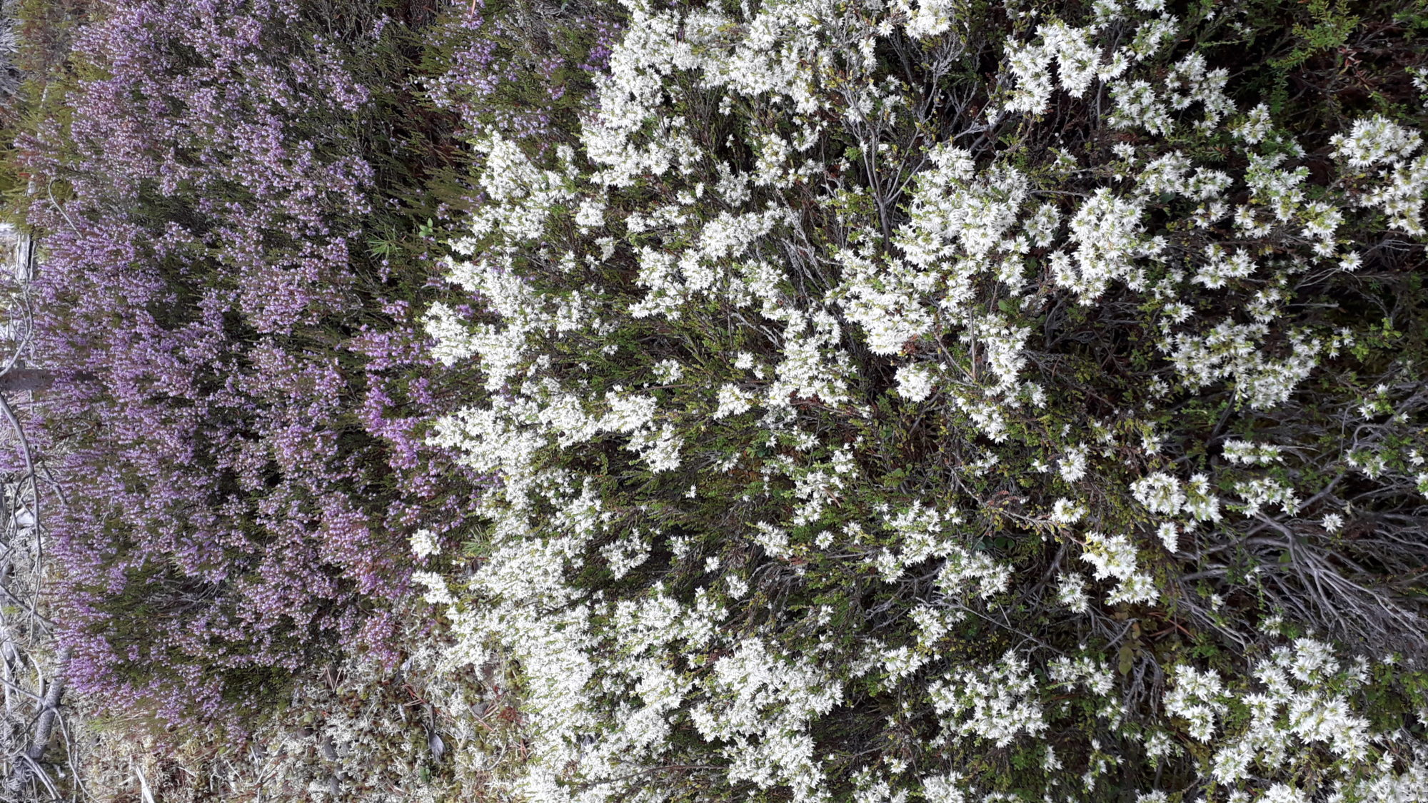 Valokuvaaja: Ritva HILTUNEN