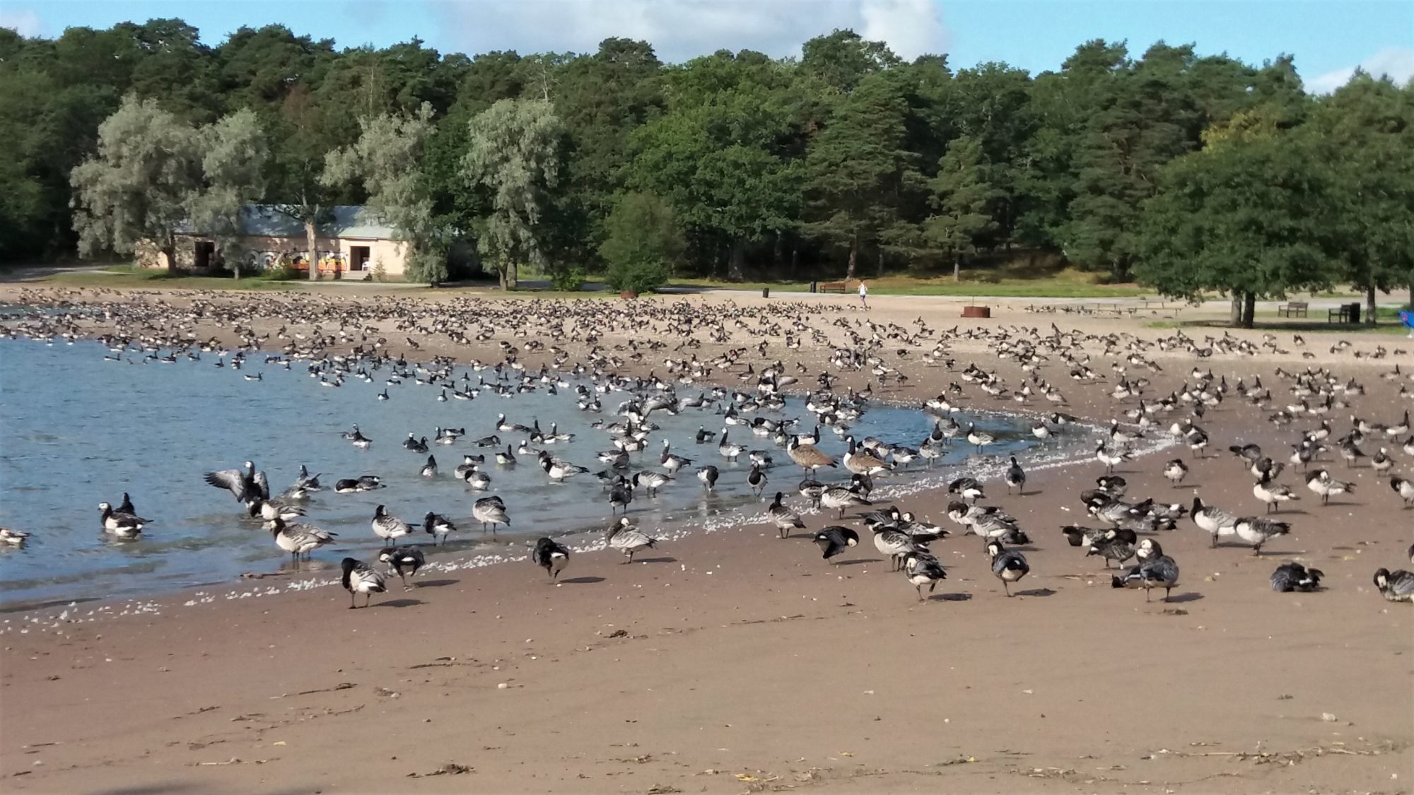 Valokuvaaja: Asko Heikkinen