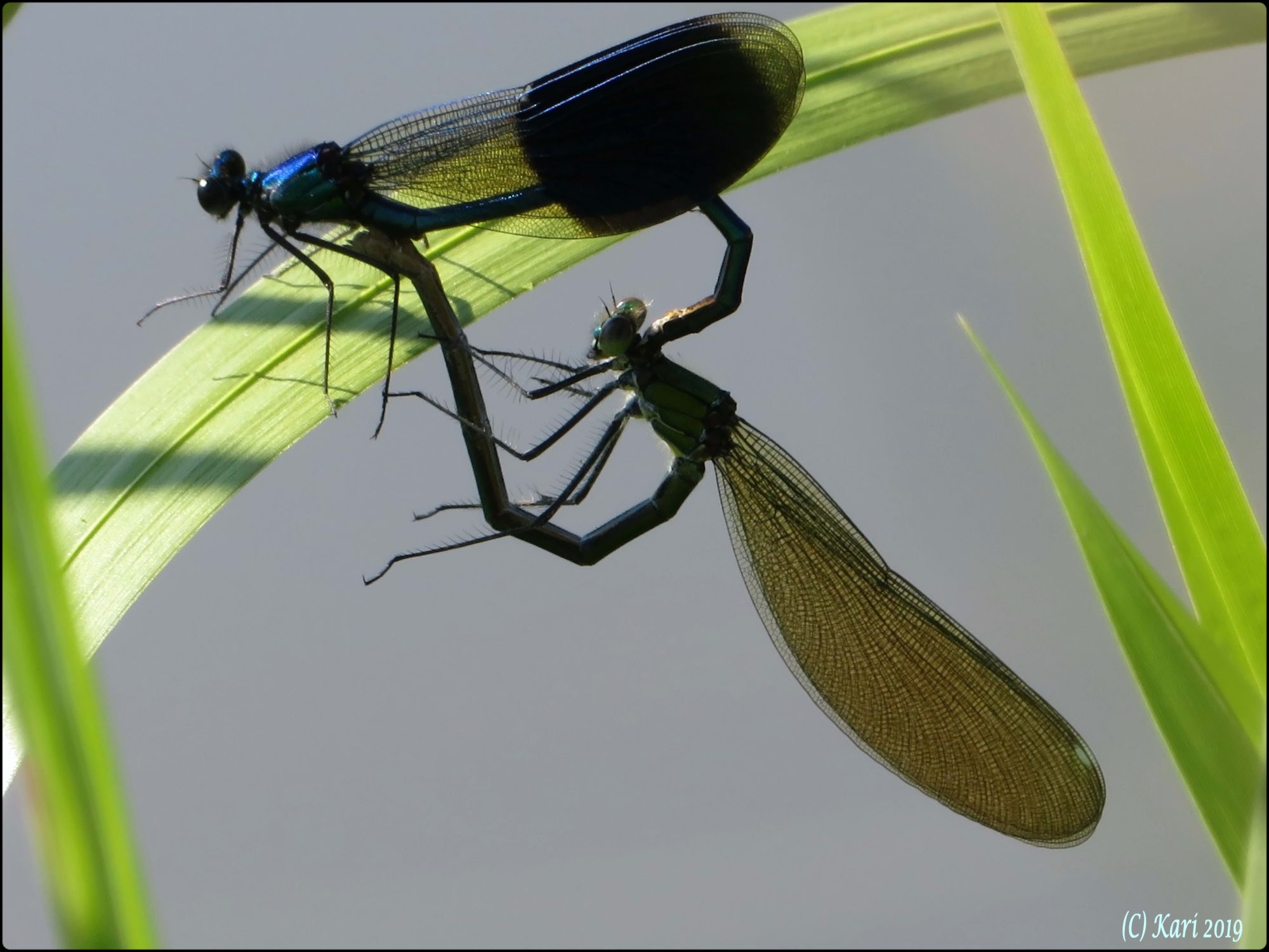 Valokuvaaja: Kari Saarinen