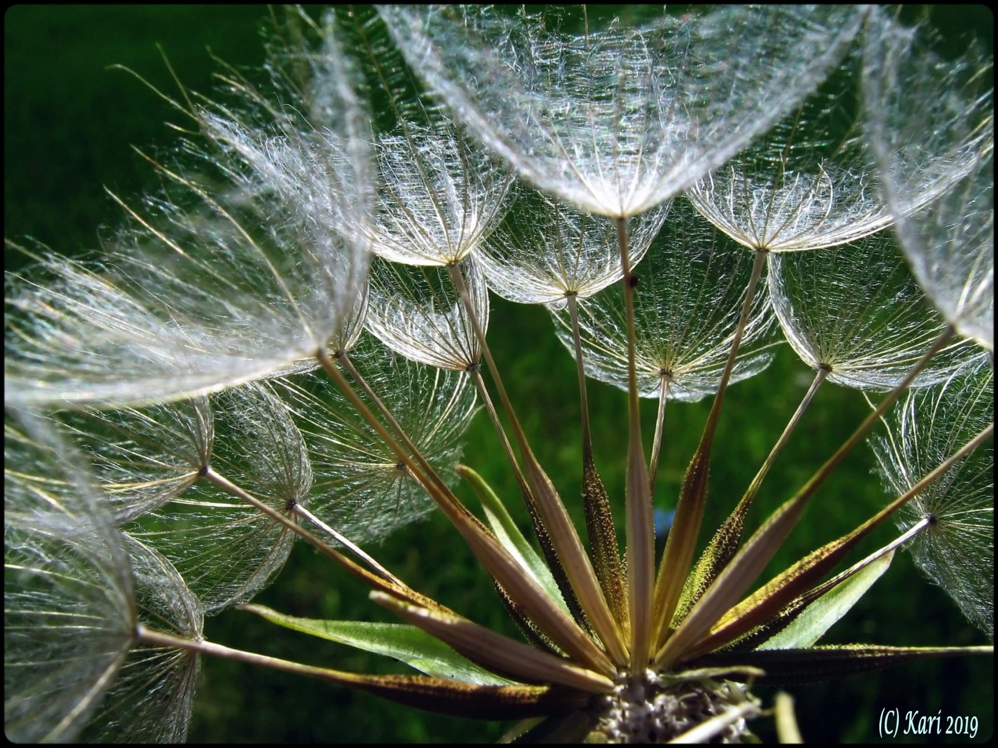 Valokuvaaja: Kari Saarinen