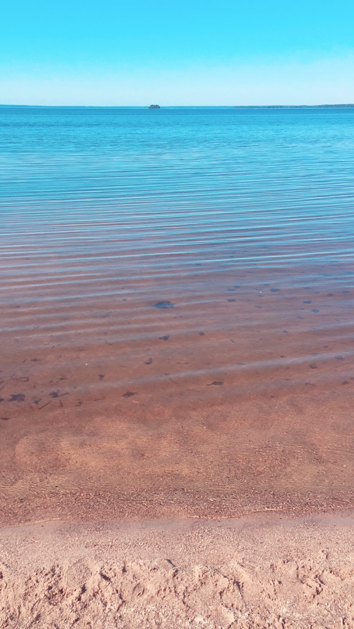 Valokuvaaja: Juho Niemelä