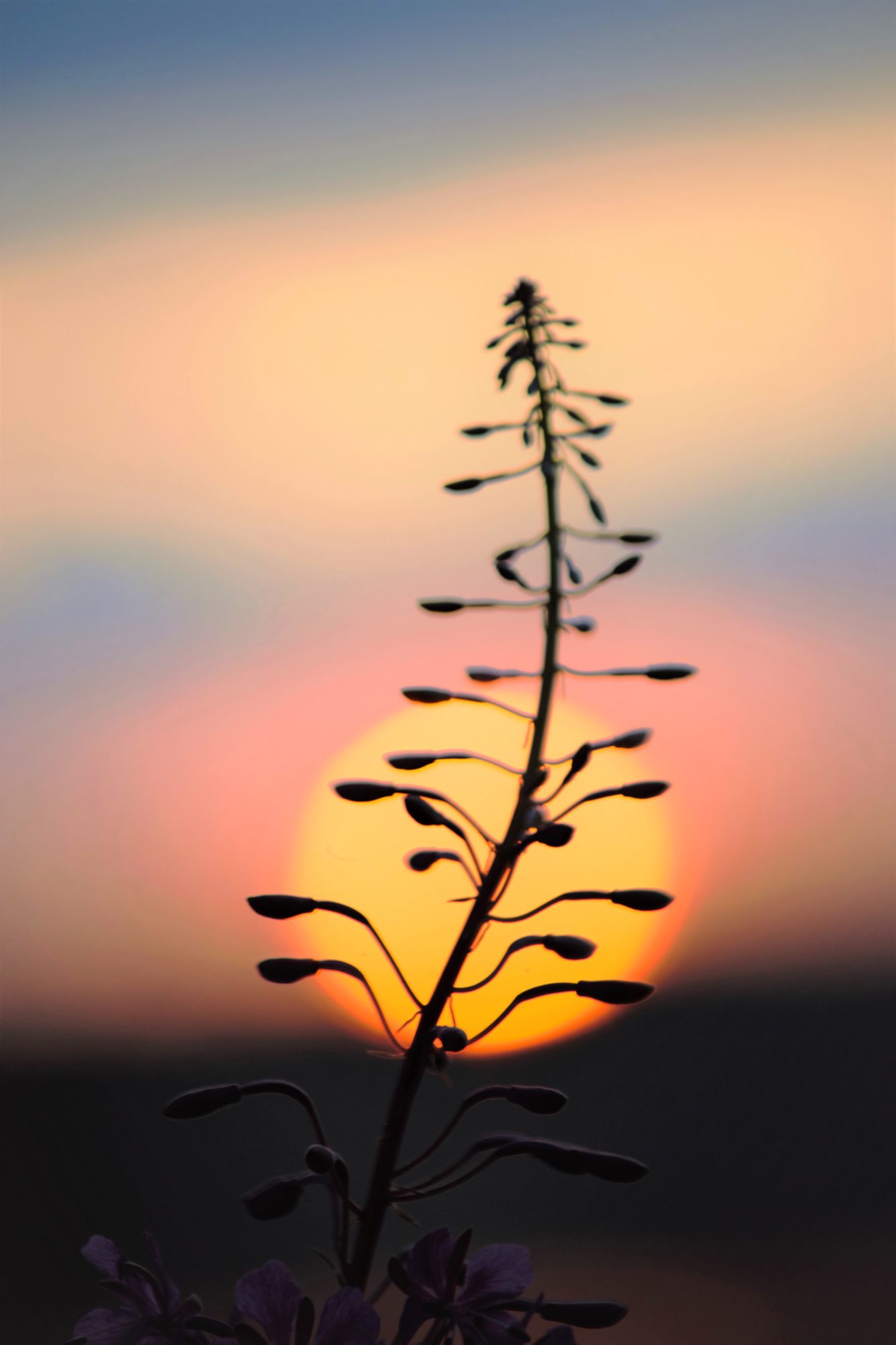 Valokuvaaja: Leena Rissanen