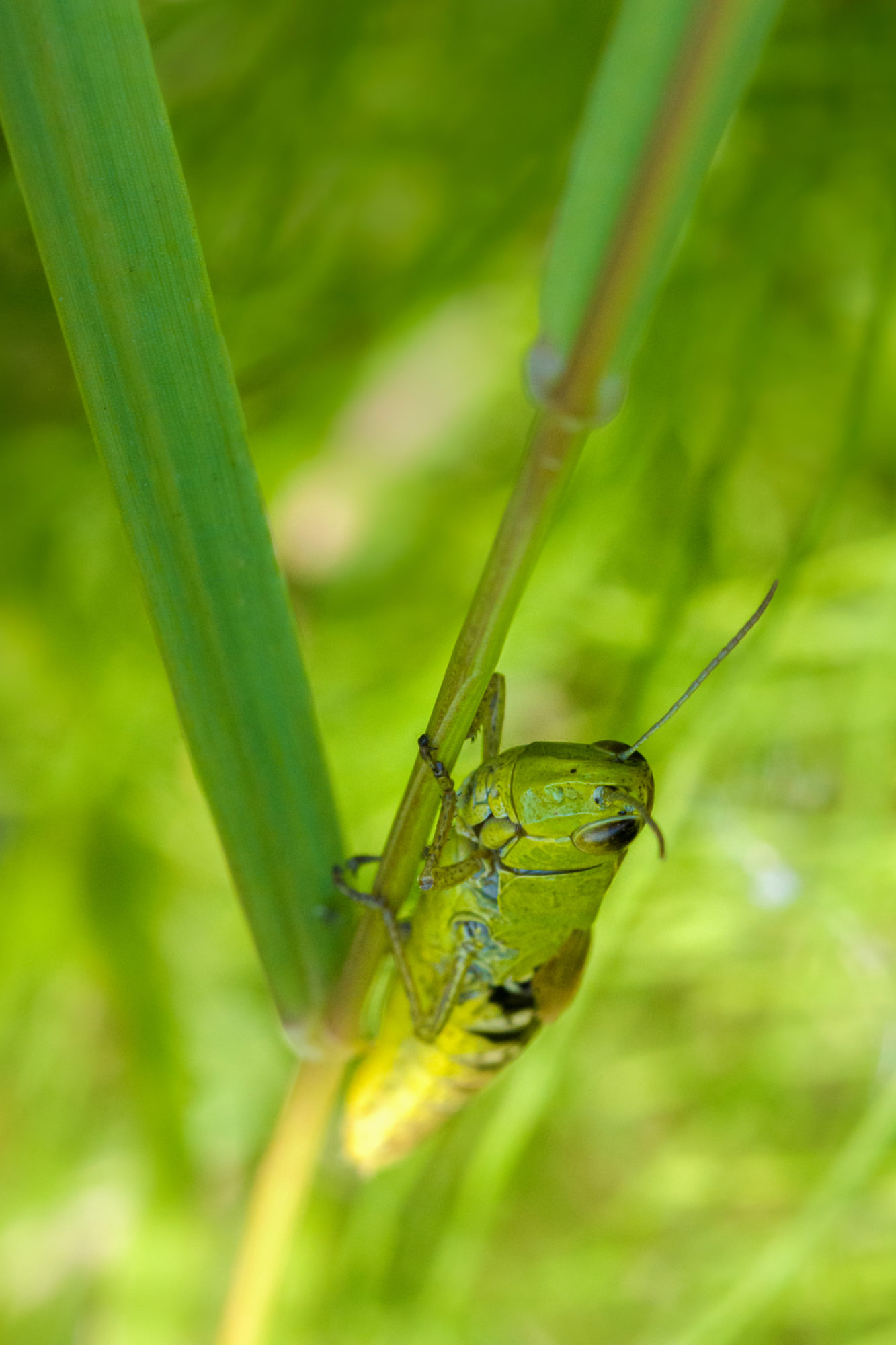 Valokuvaaja: Risto Lavi