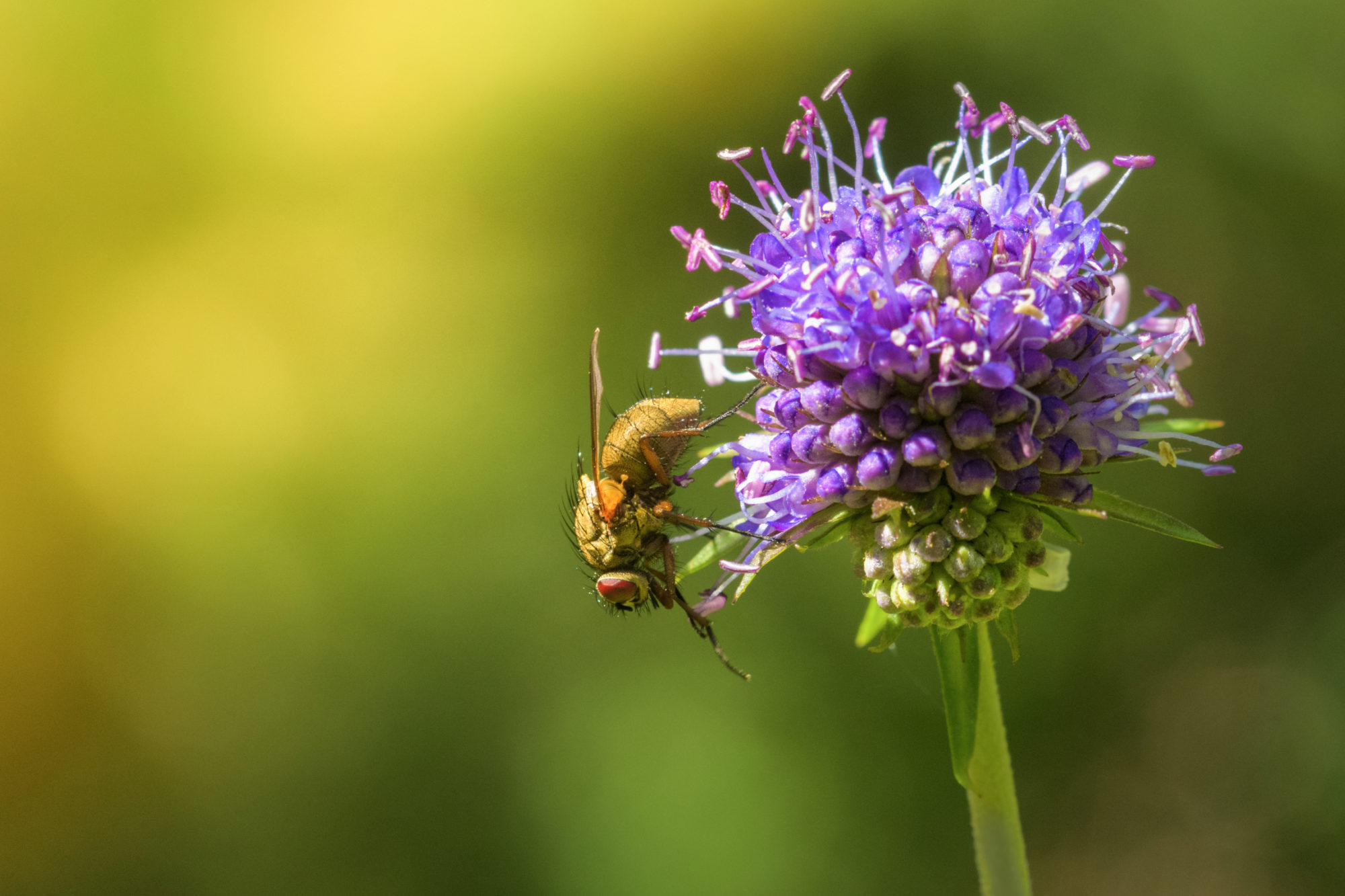 Valokuvaaja: Risto Lavi