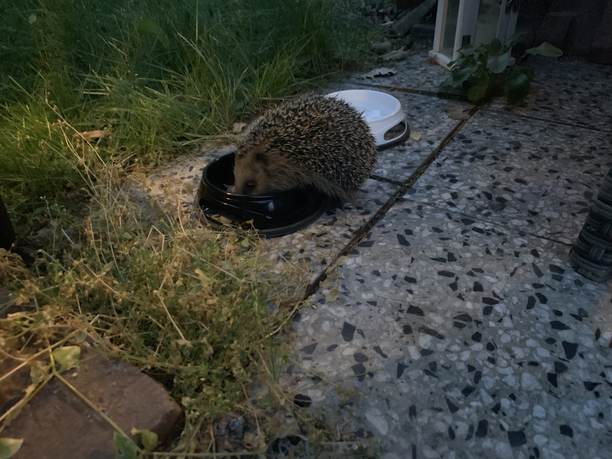 Valokuvaaja: Sini Soini