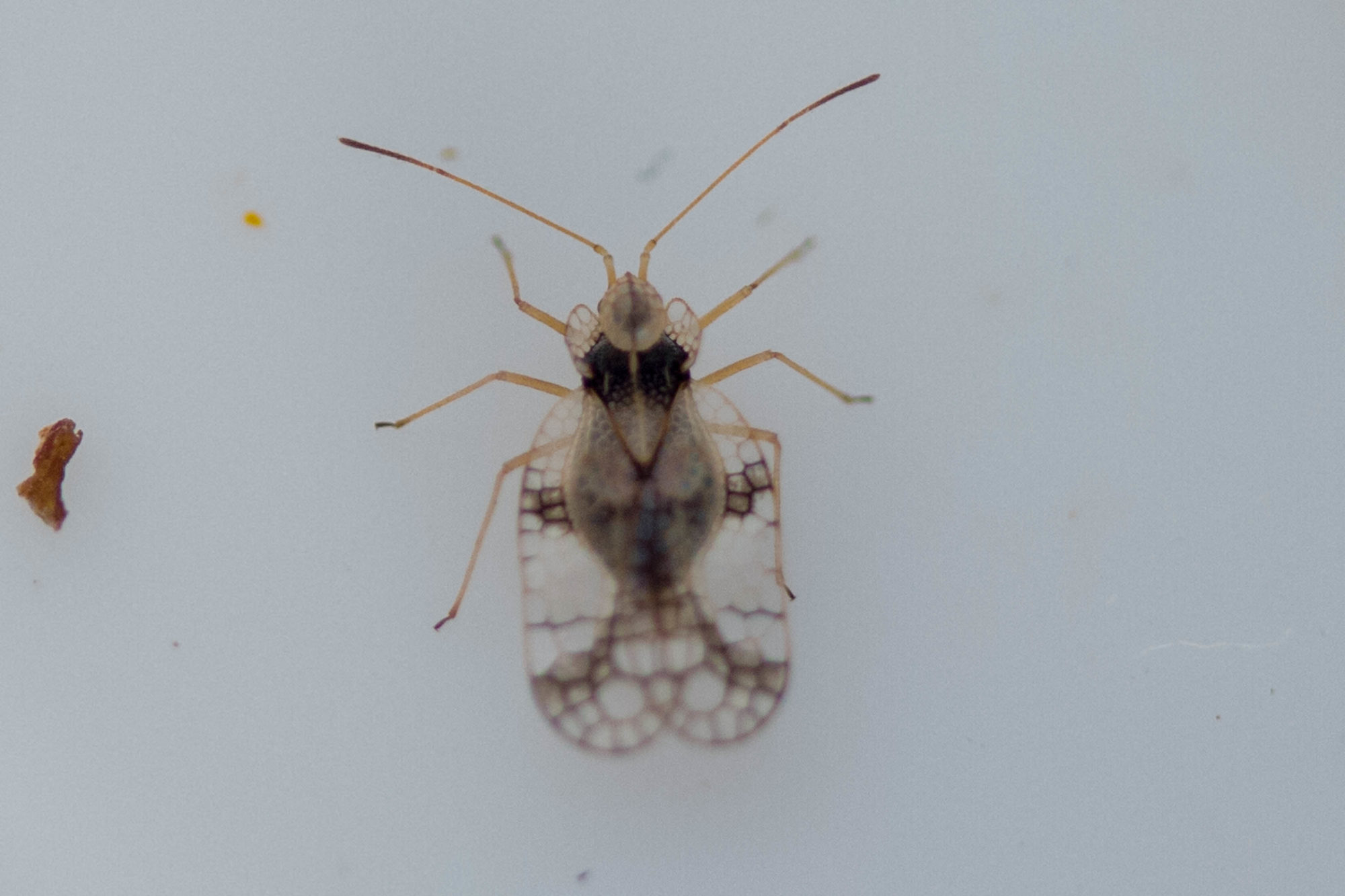 Valokuvaaja: Markku Salonen