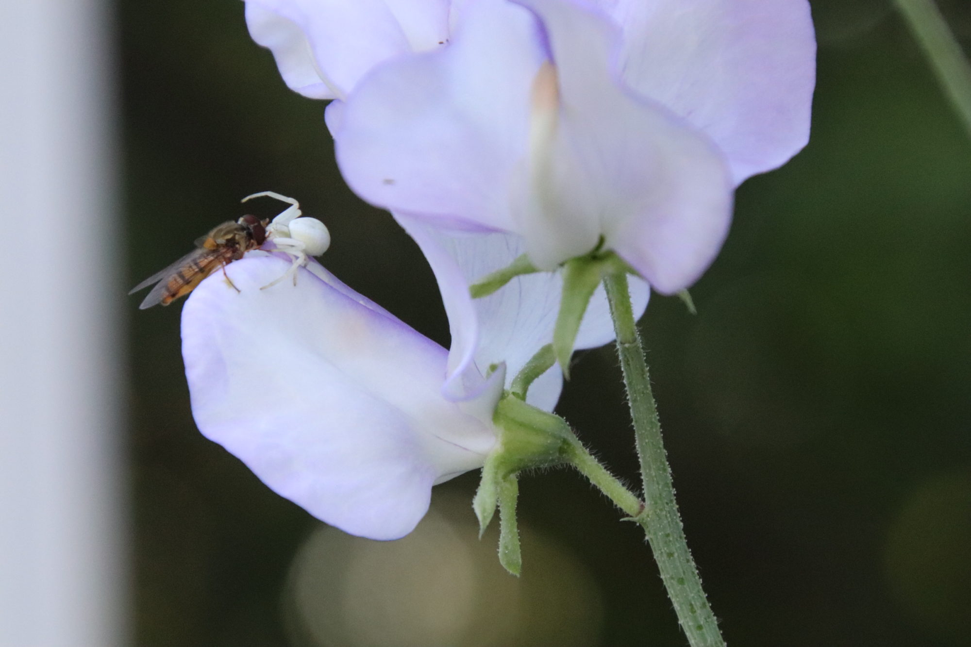Valokuvaaja: Maria Kämäri